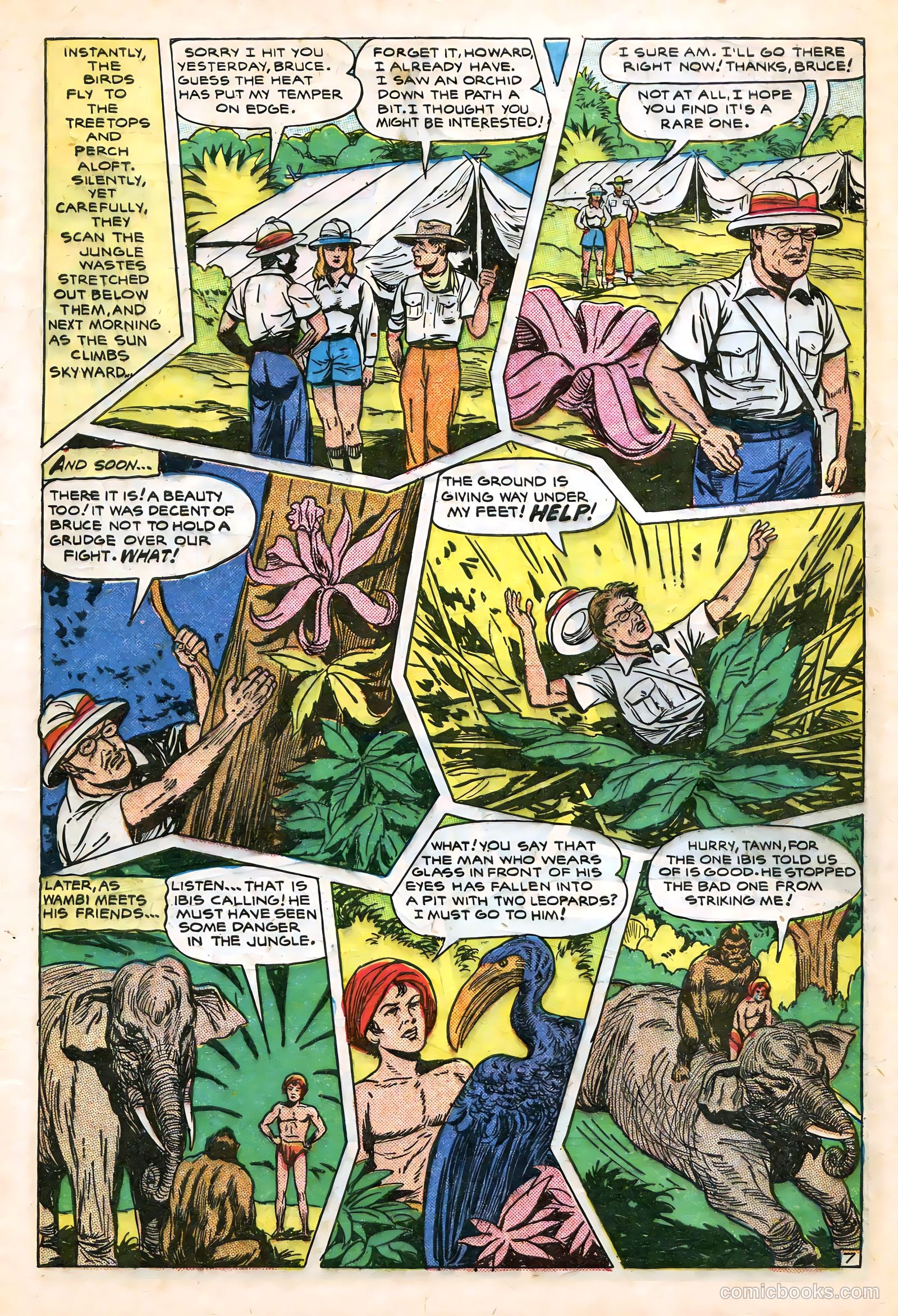 Wambi #7 — page 9 of 52