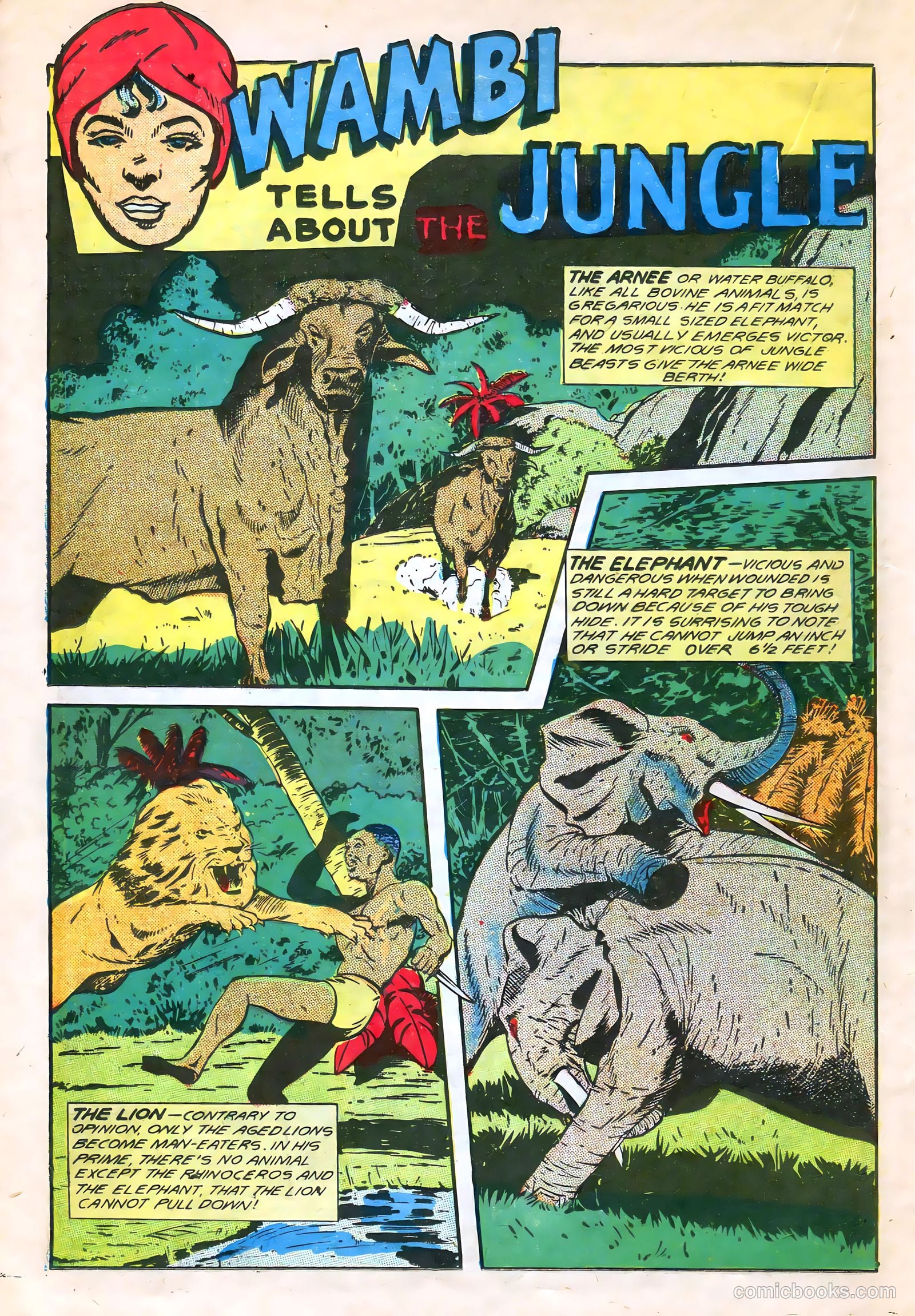 Wambi #7 — page 28 of 52