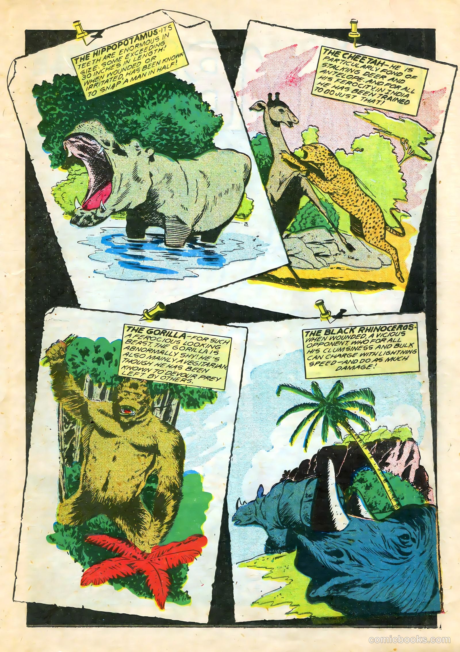 Wambi #7 — page 29 of 52