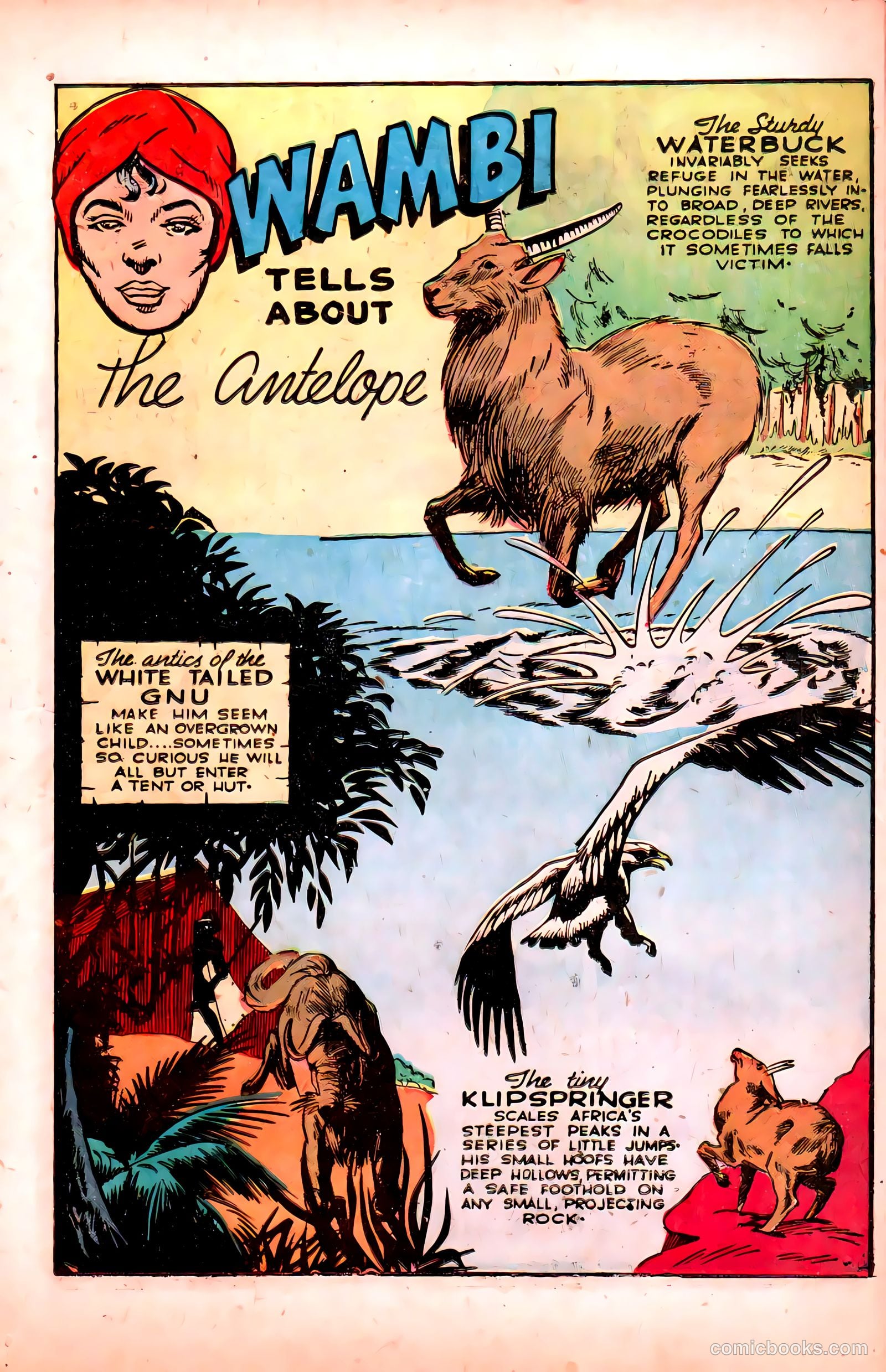 Wambi #6 — page 15 of 52