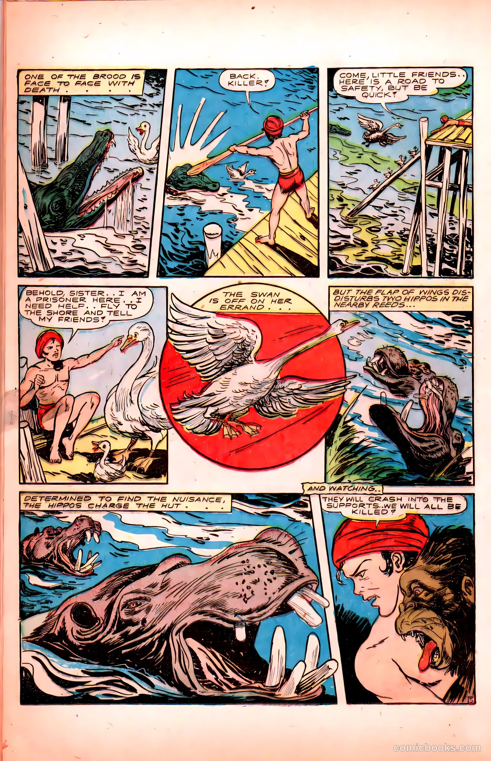 Wambi #6 — page 20 of 52