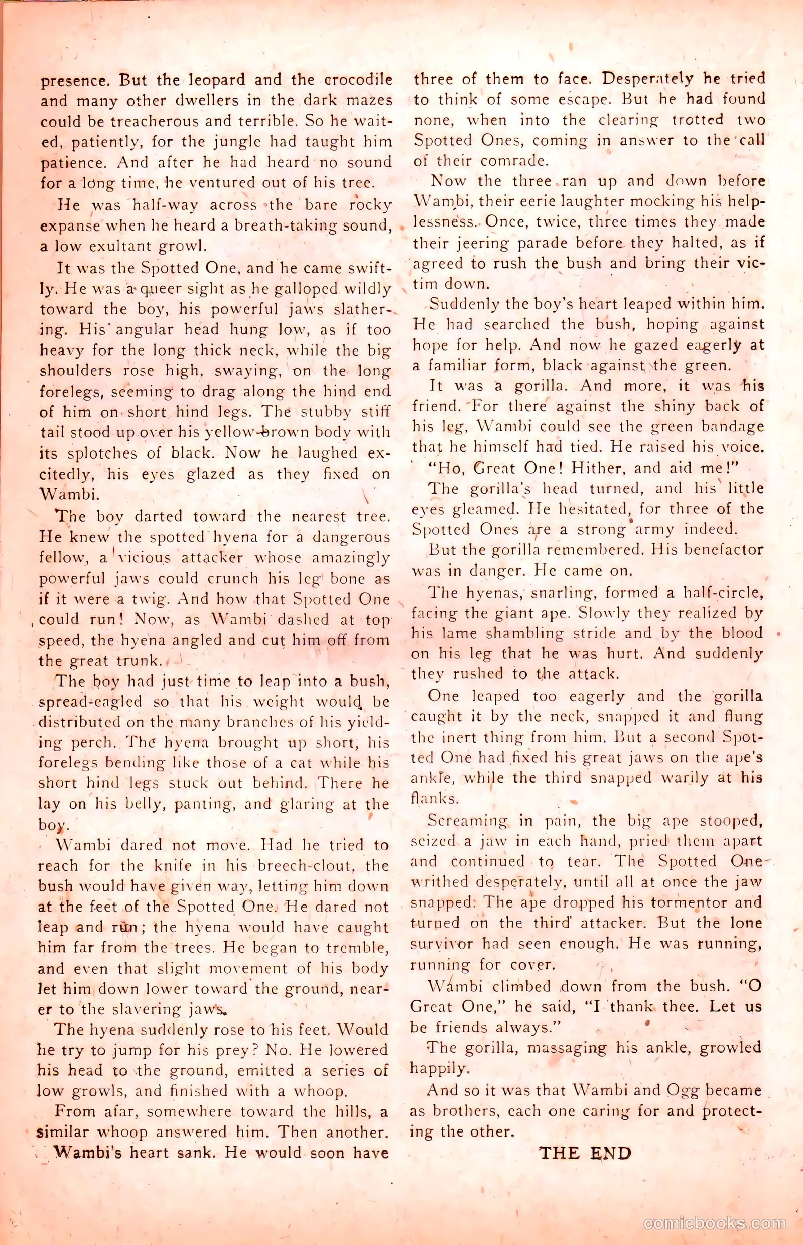 Wambi #6 — page 26 of 52