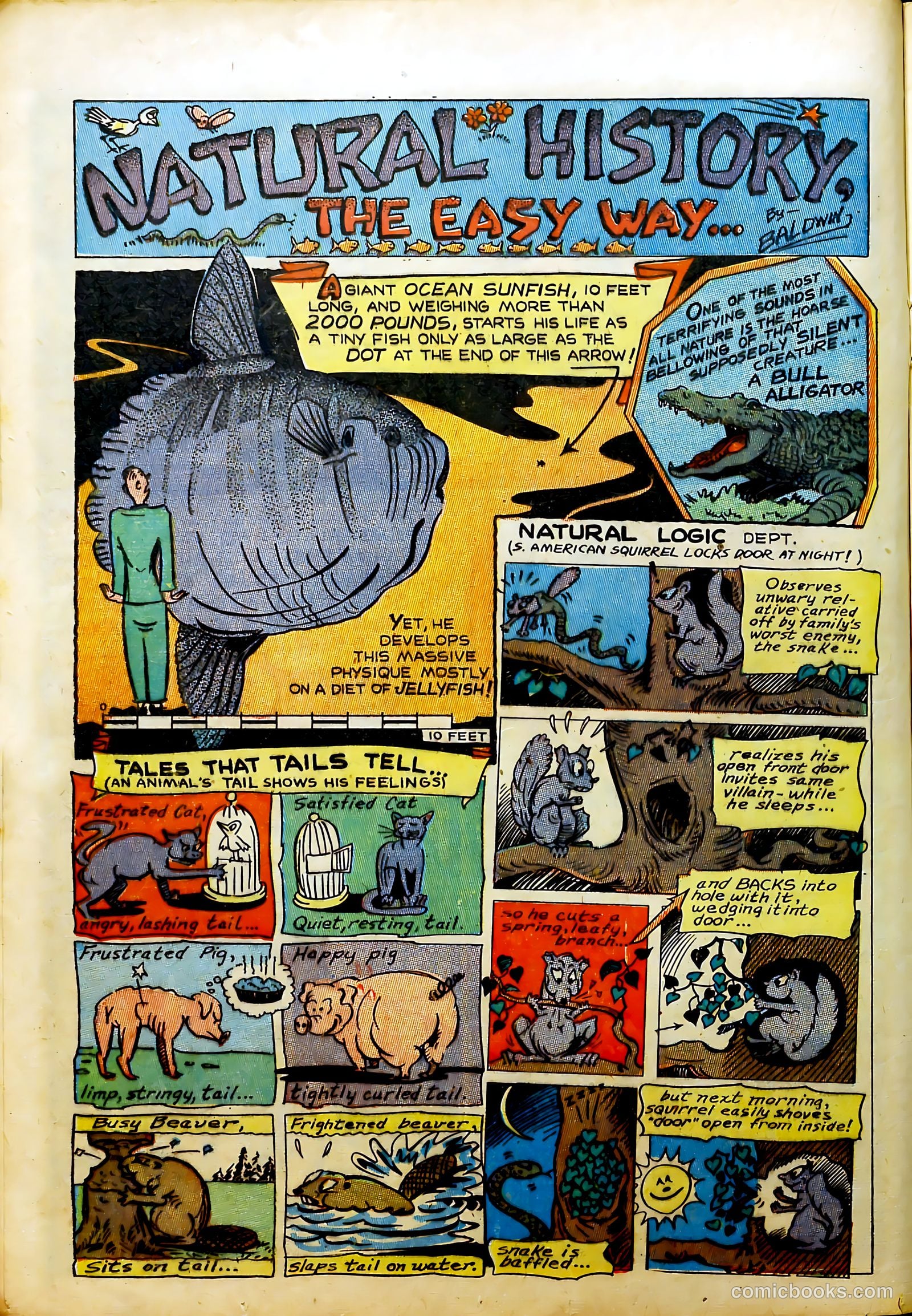 Prize Comics #61 — page 22 of 53