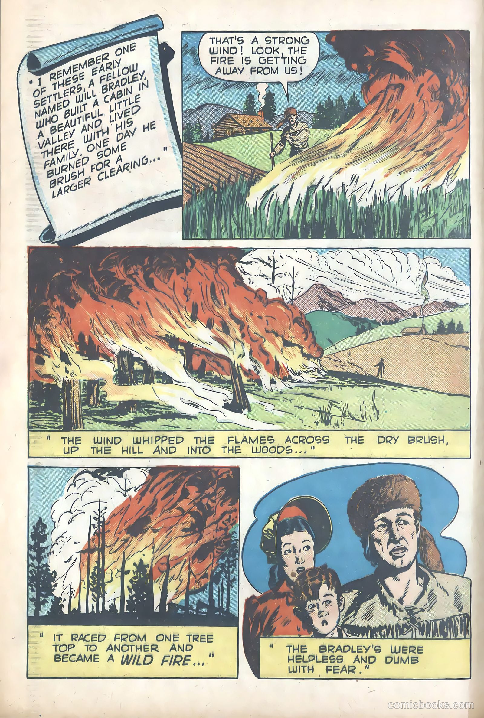 Forest Fire #nn — page 6 of 16