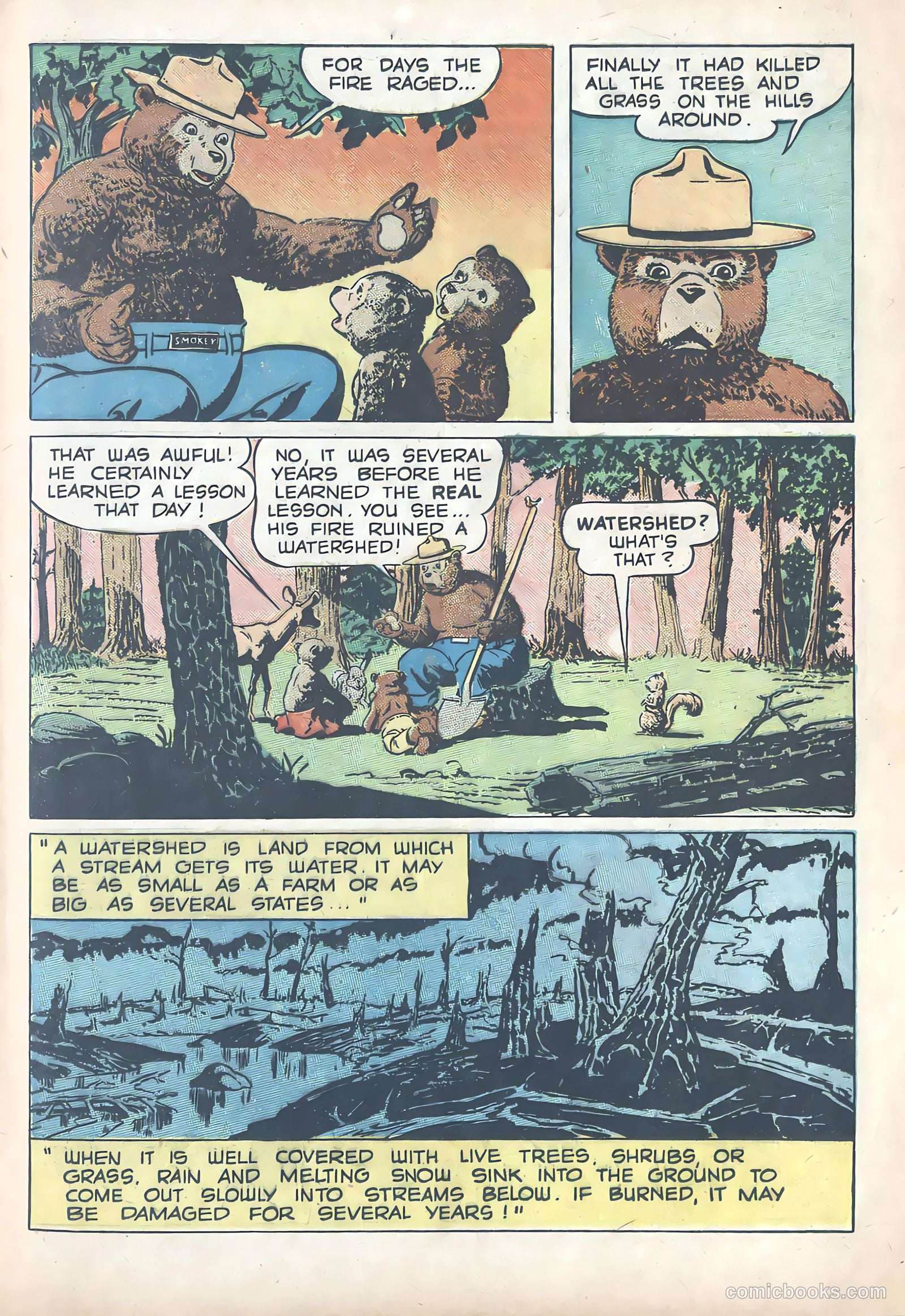 Forest Fire #nn — page 7 of 16