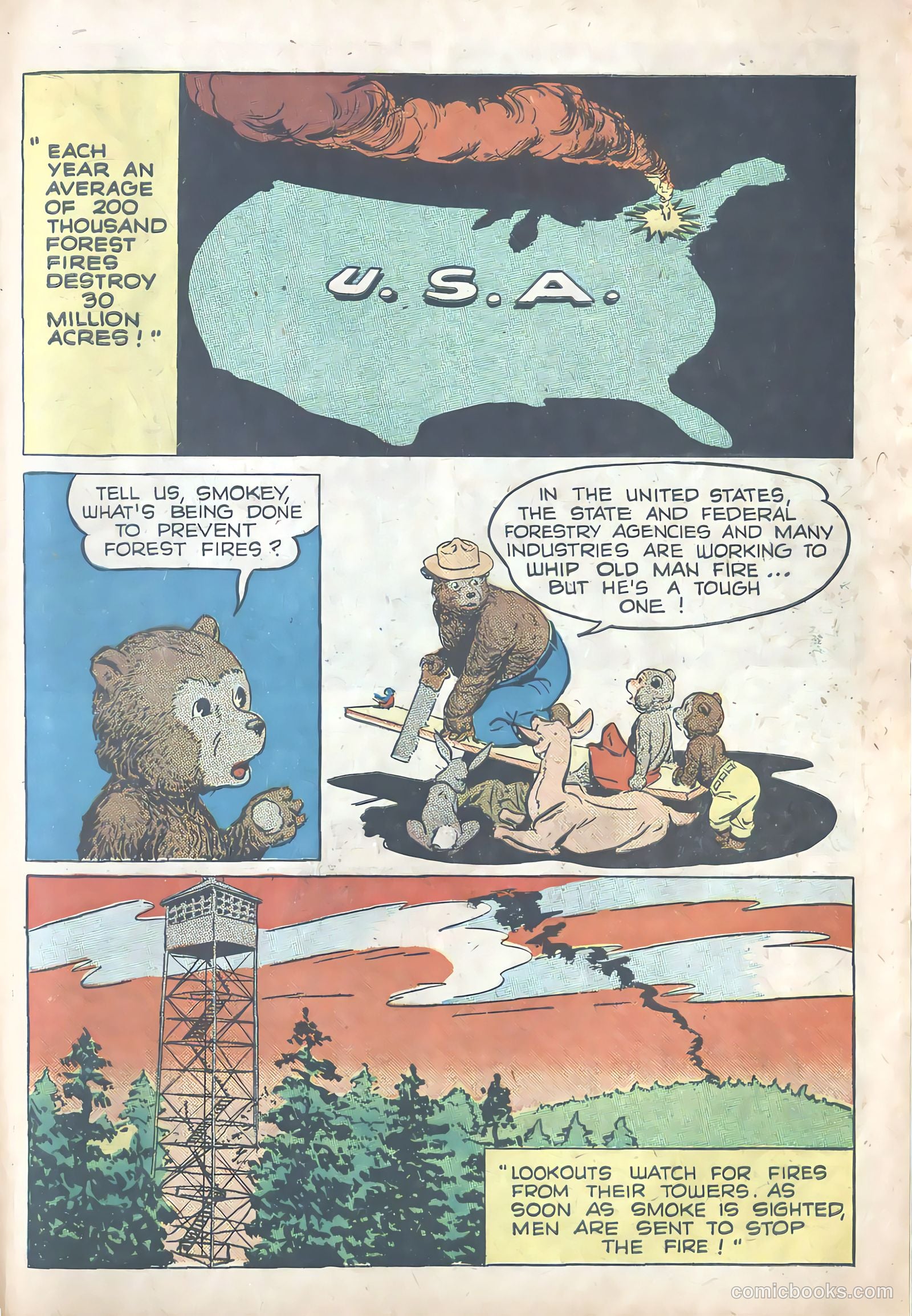 Forest Fire #nn — page 13 of 16