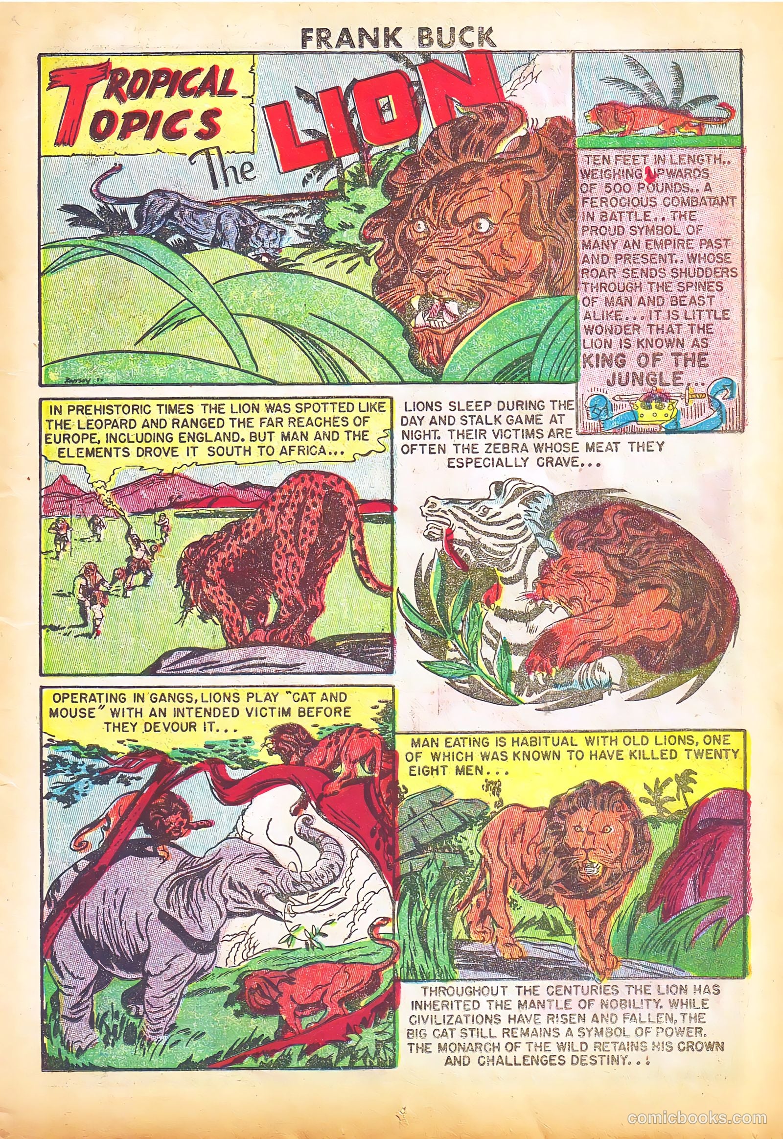 Frank Buck #2 — page 11 of 36