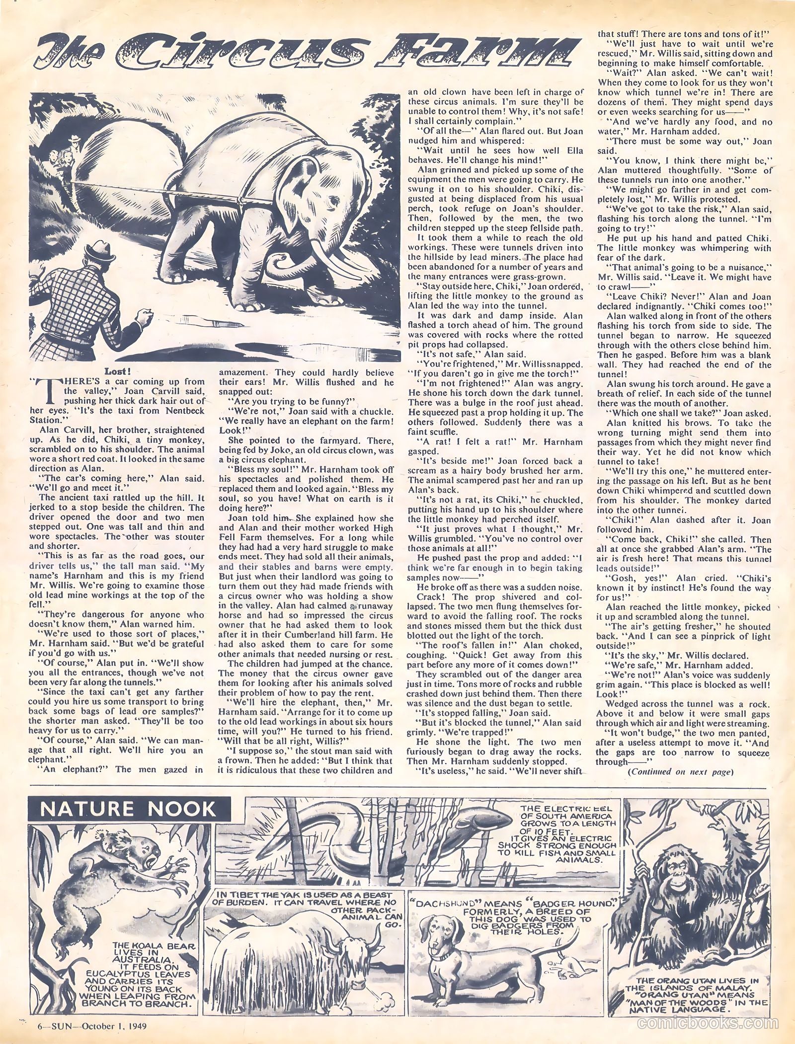 Sun #50 — page 6 of 8