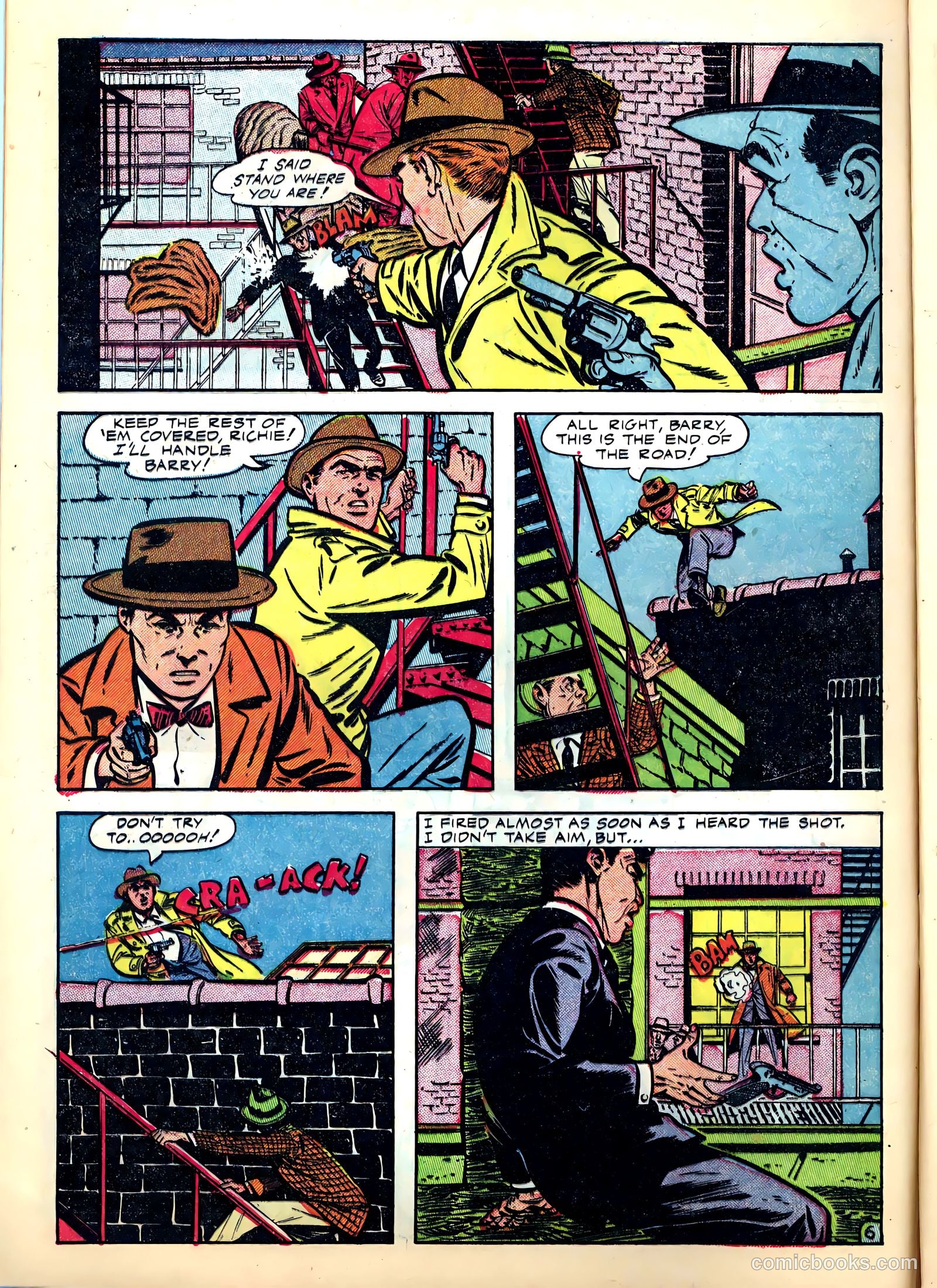 I'm a Cop #2 — page 8 of 36