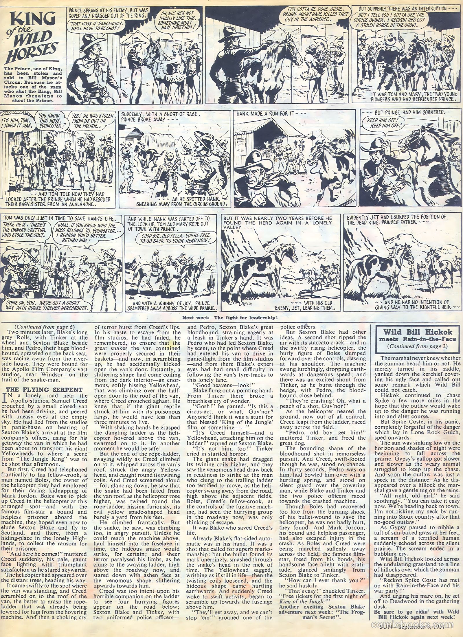 Sun #135 — page 8 of 9