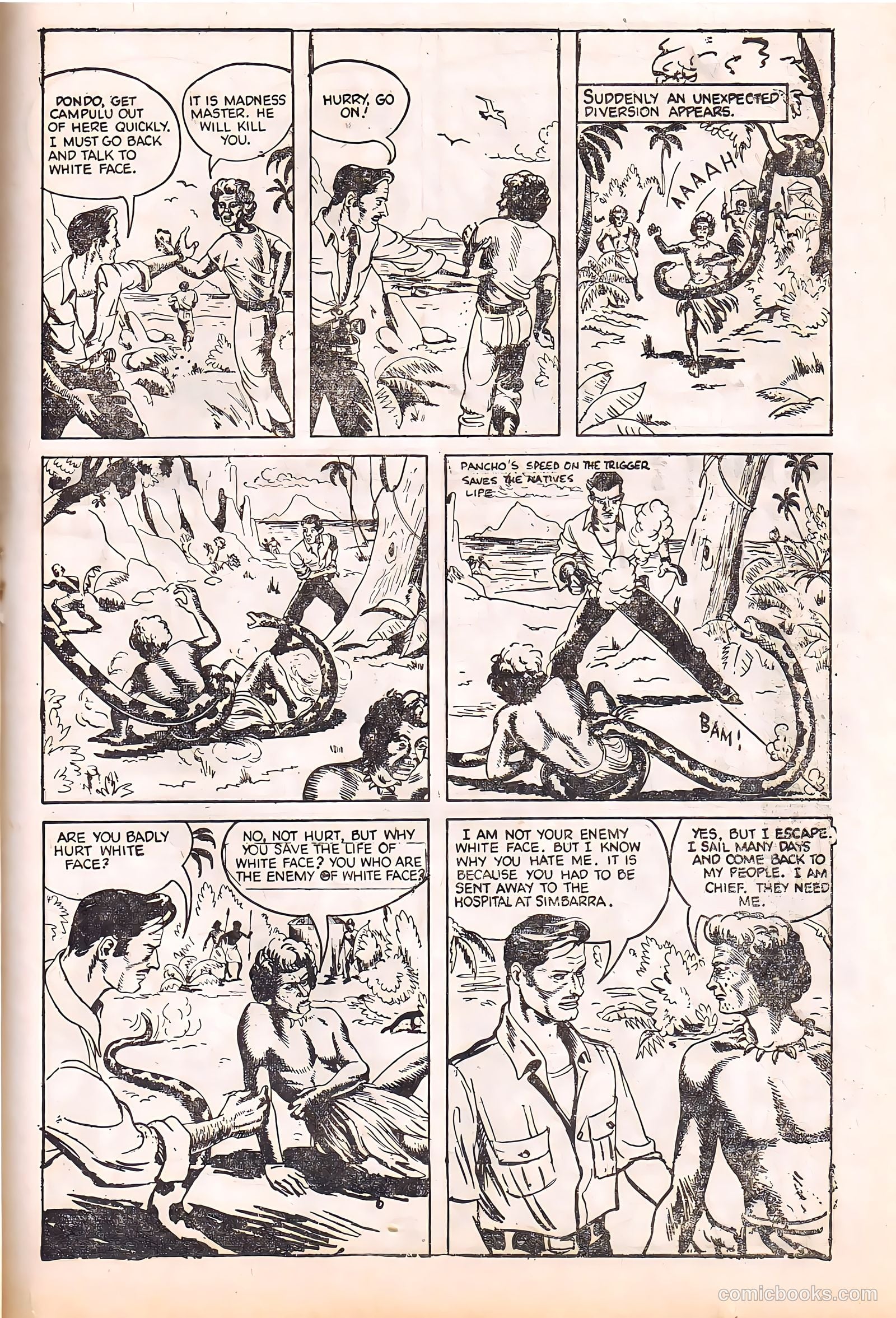 Pancho Villa #17 — page 19 of 28