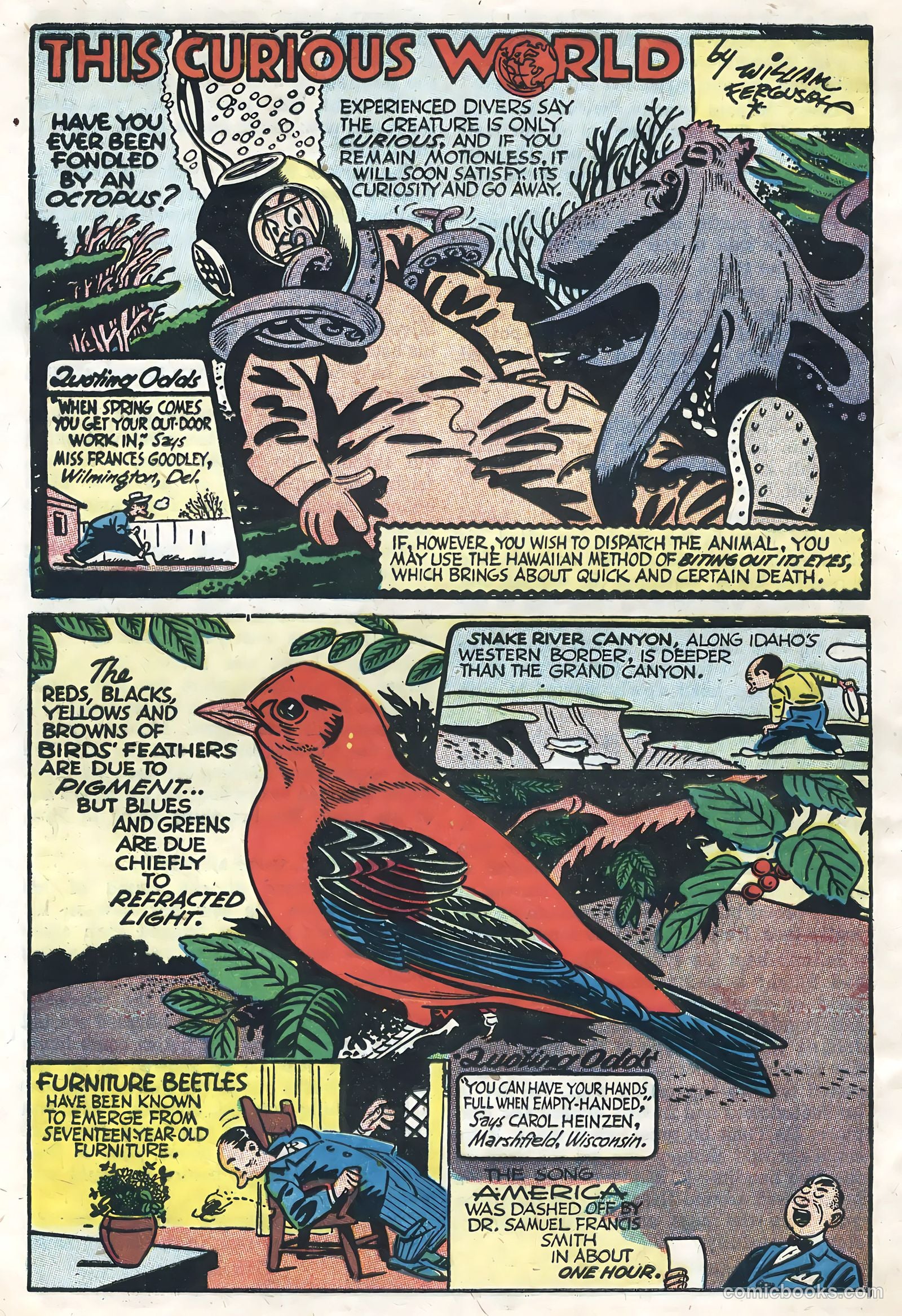 Captain Easy #1 — page 30 of 36