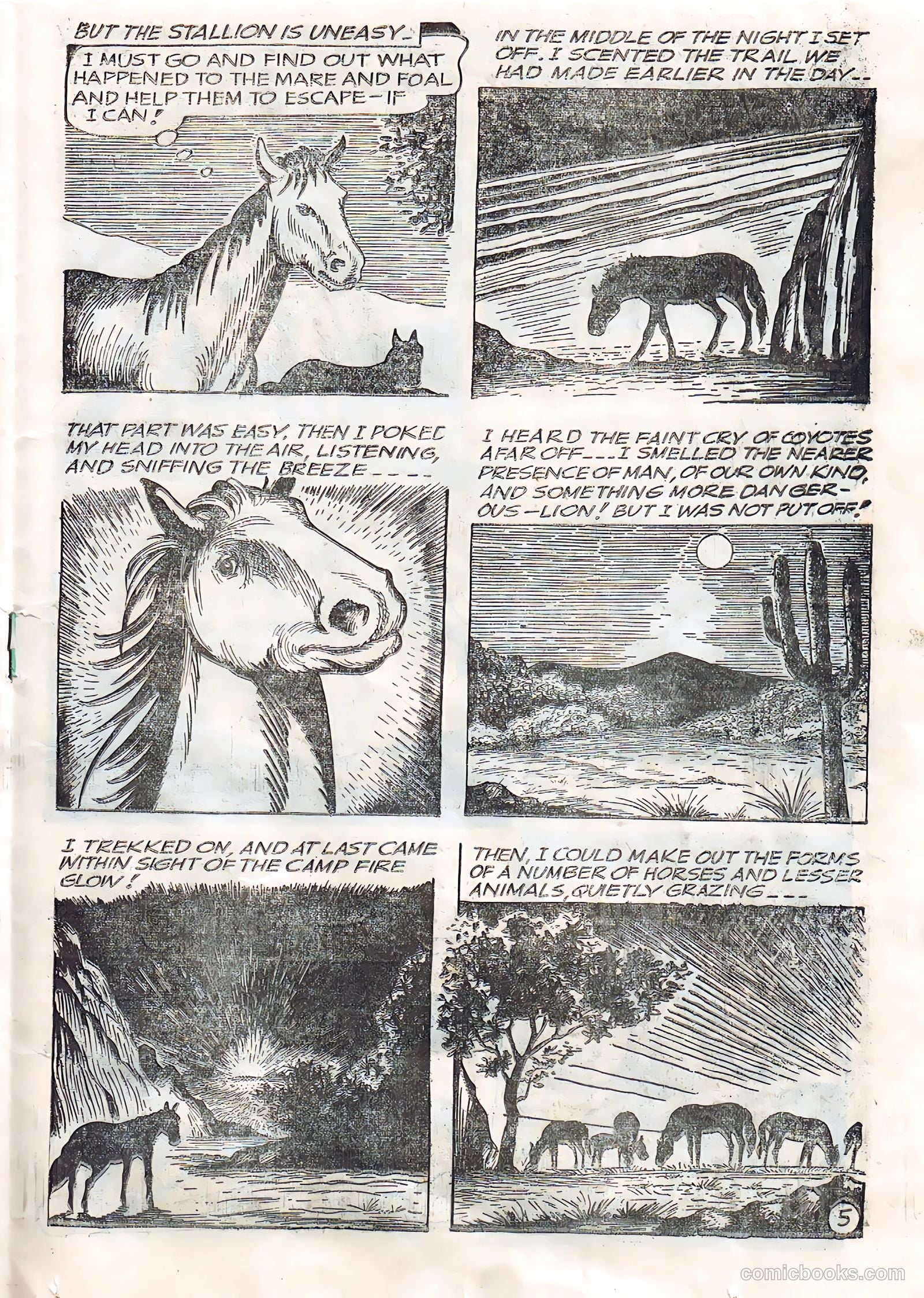 Pancho Villa #36 — page 15 of 28