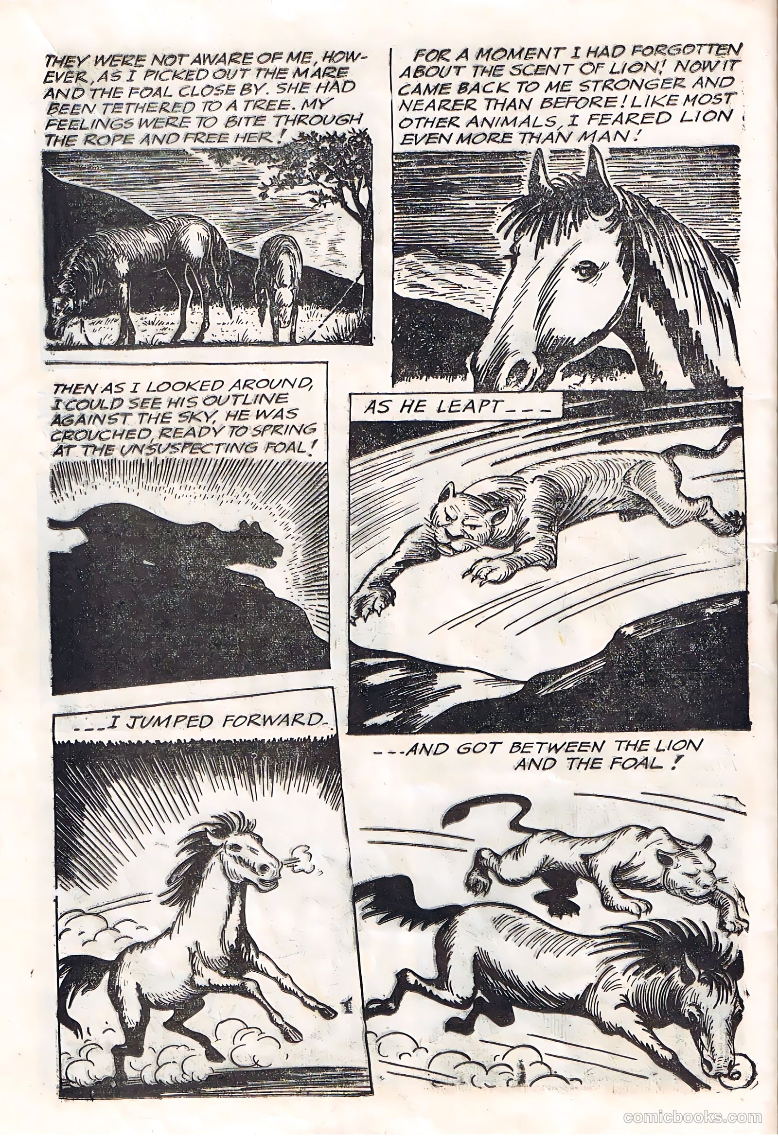 Pancho Villa #36 — page 16 of 28