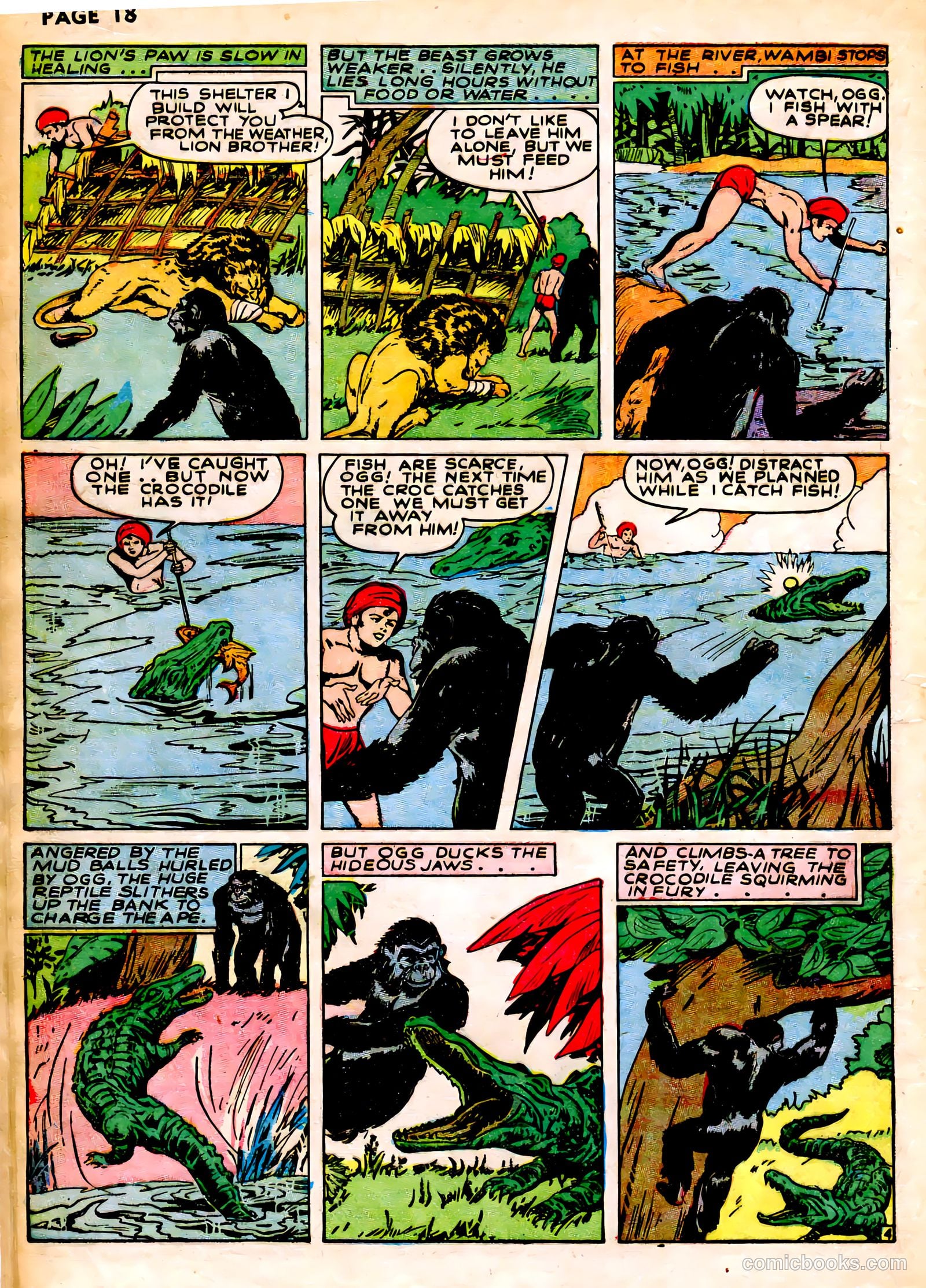 Wambi #1 — page 21 of 69