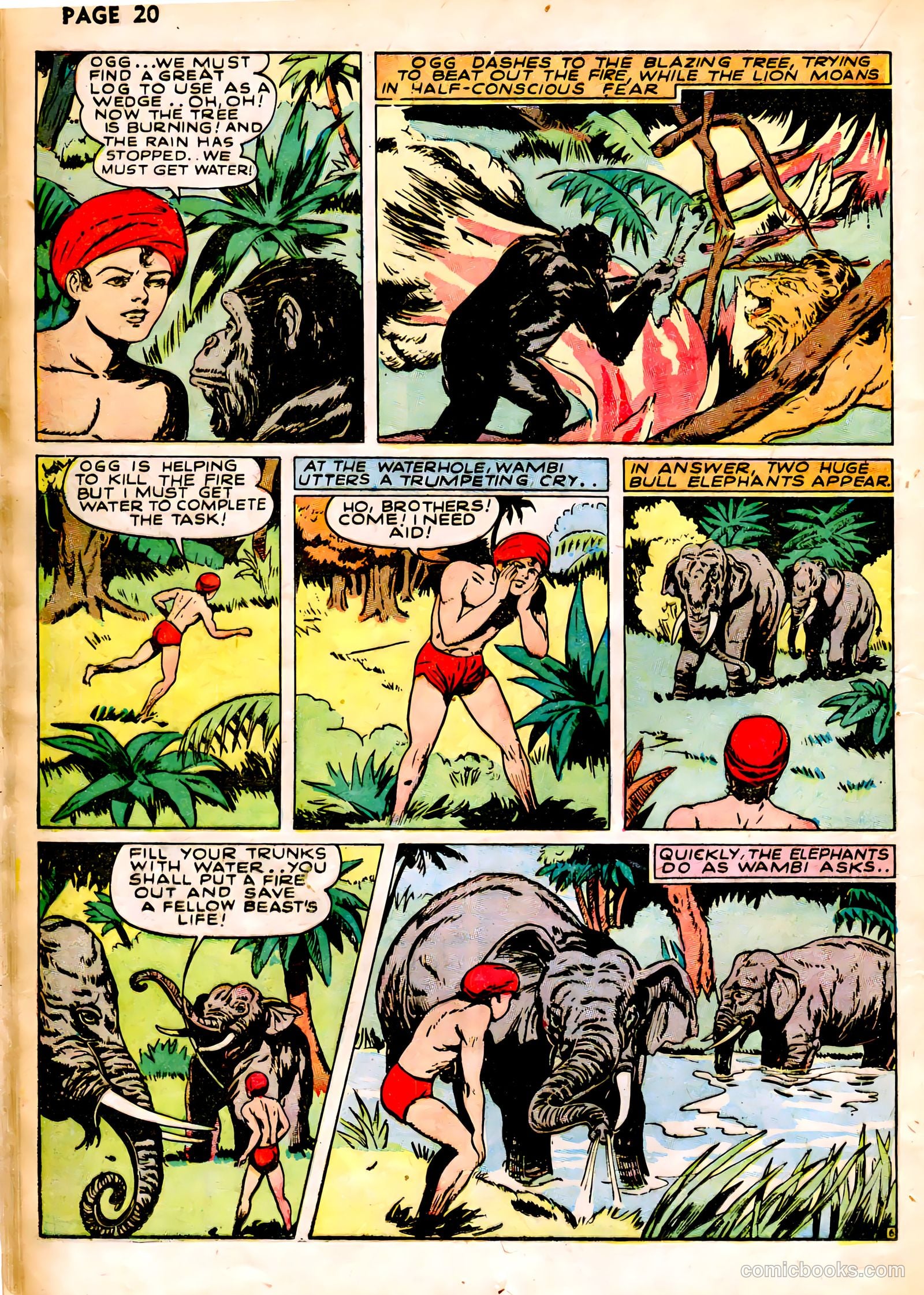 Wambi #1 — page 23 of 69