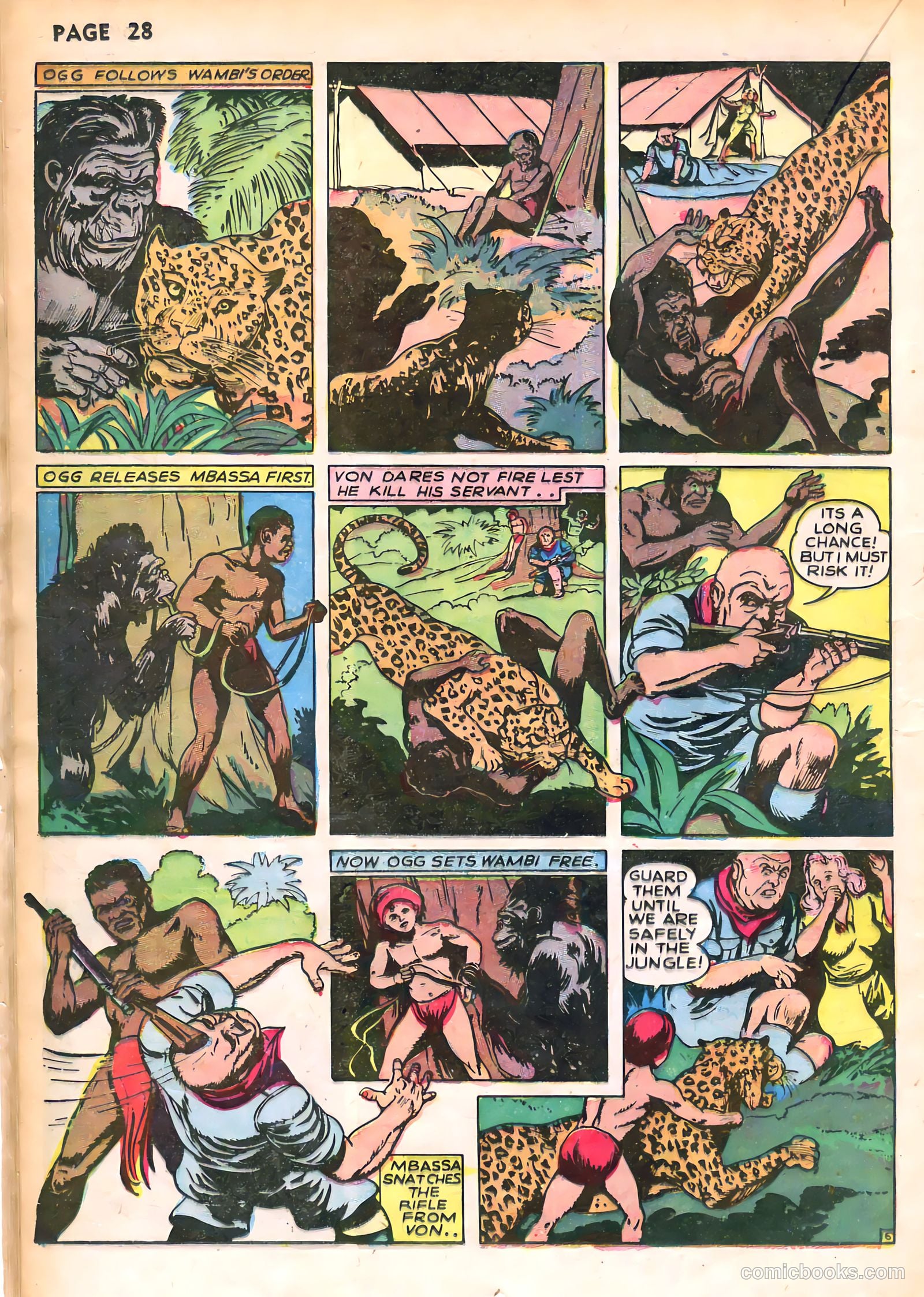 Wambi #1 — page 31 of 69