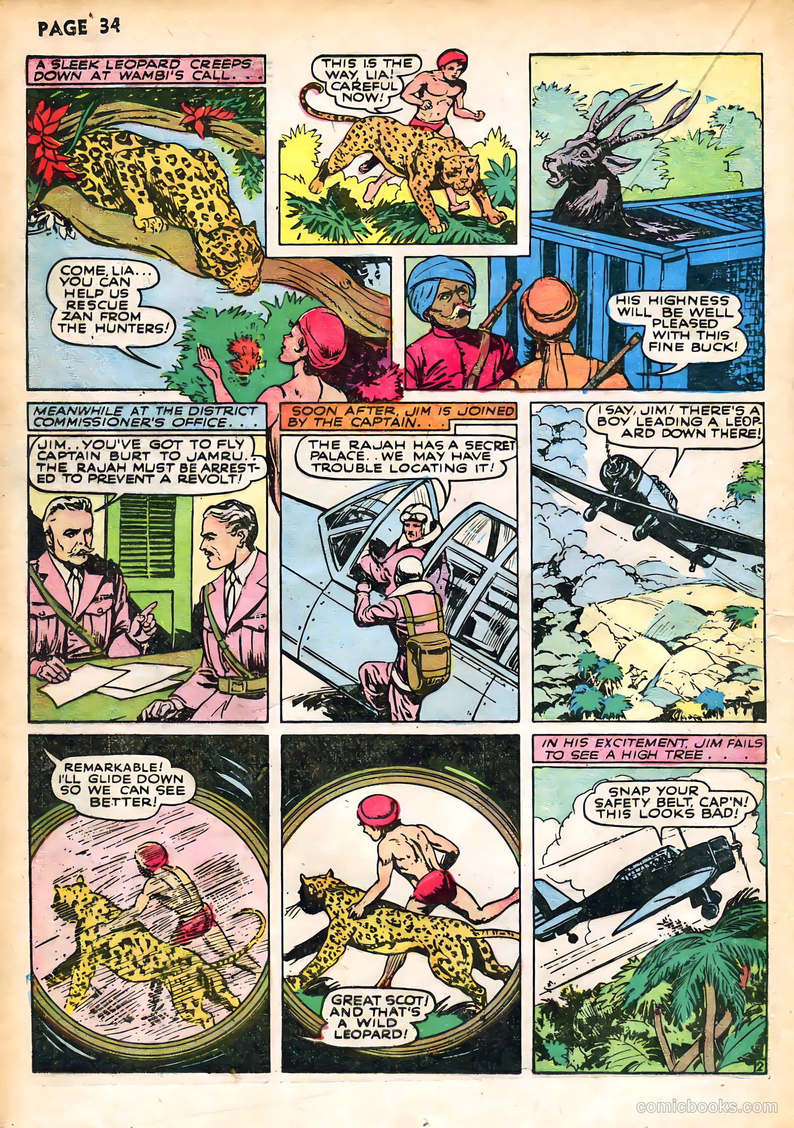 Wambi #1 — page 37 of 69