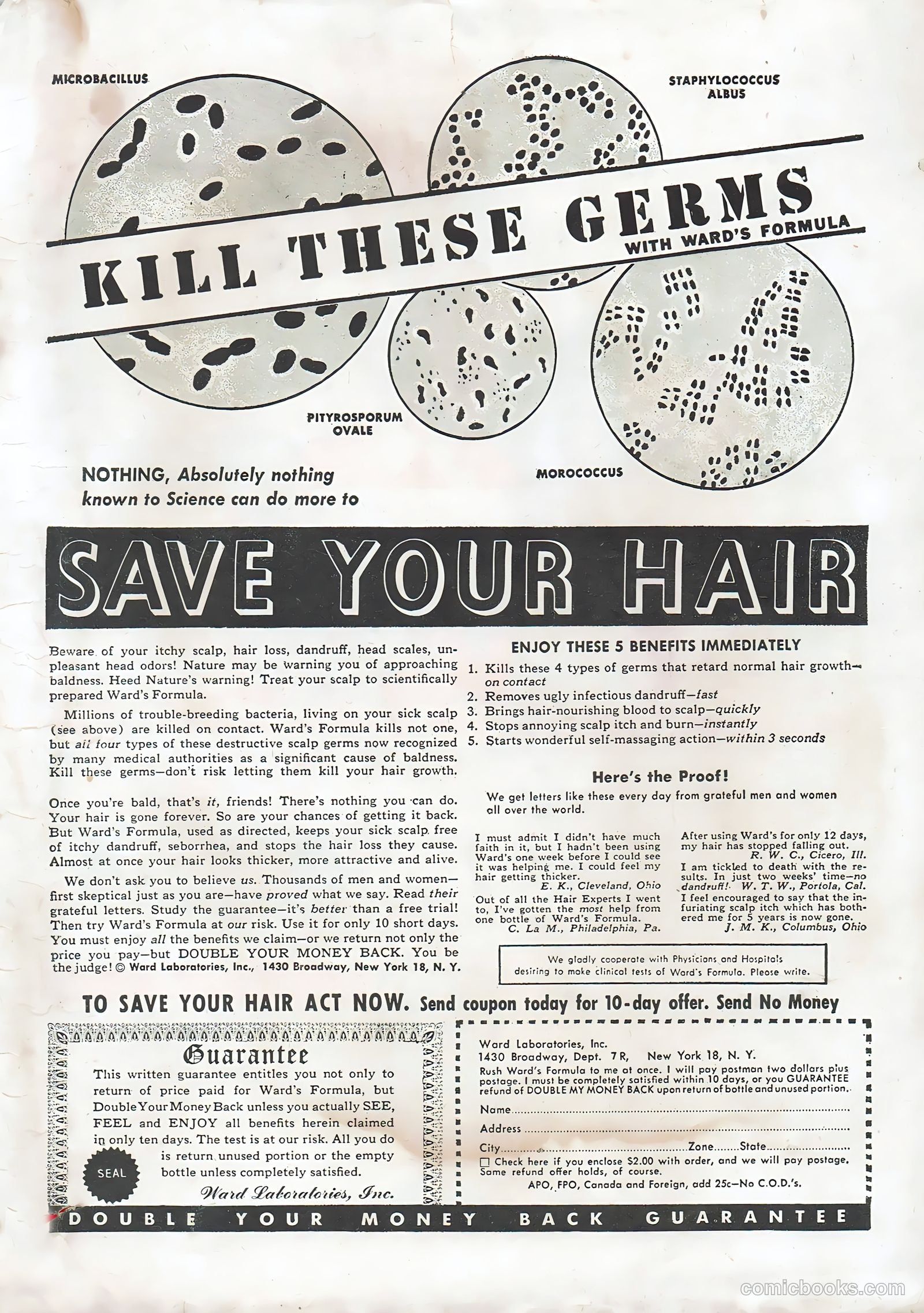 Hollywood Film Stories #4 — page 51 of 52