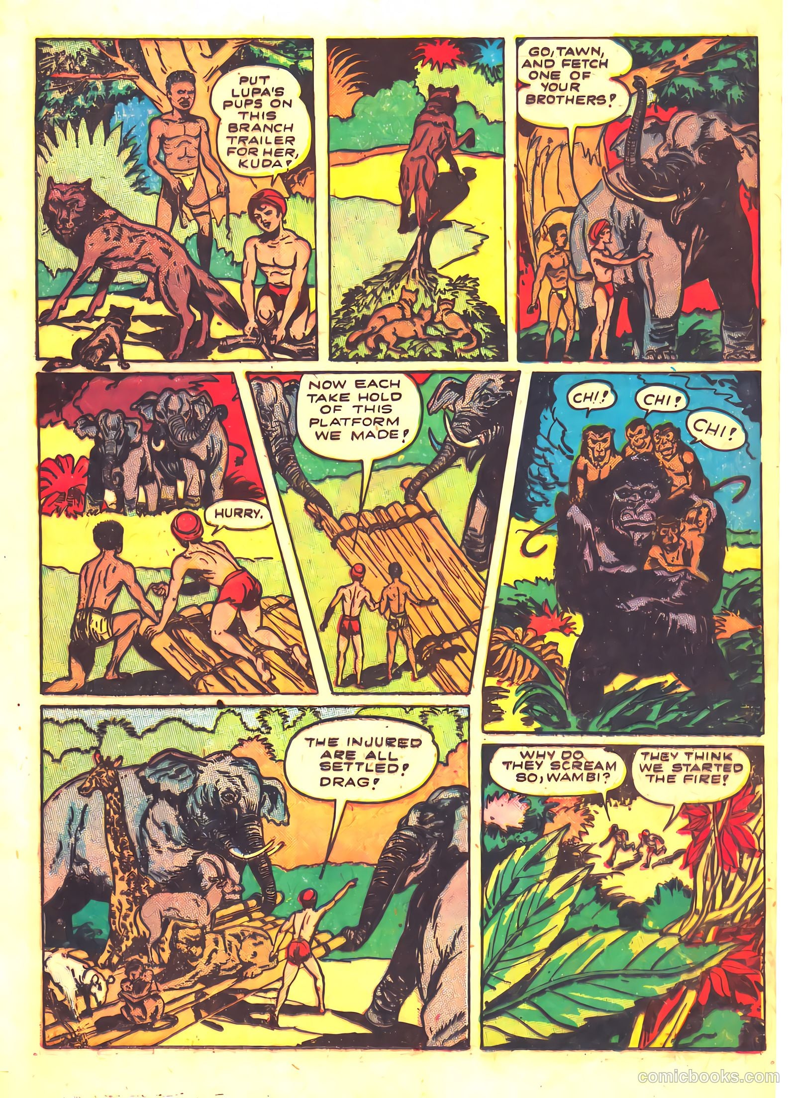 Wambi #5 — page 17 of 36