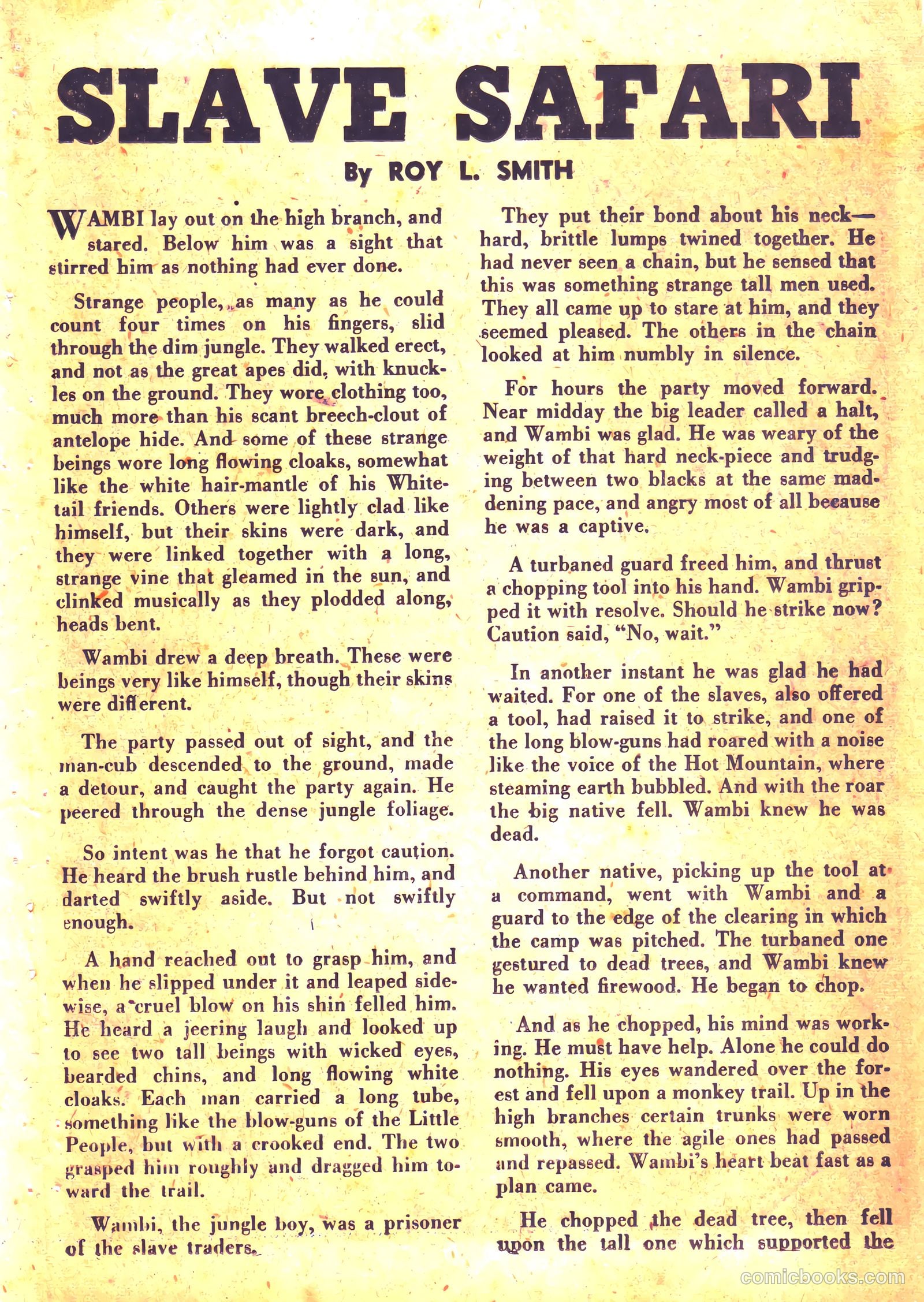 Wambi #5 — page 23 of 36