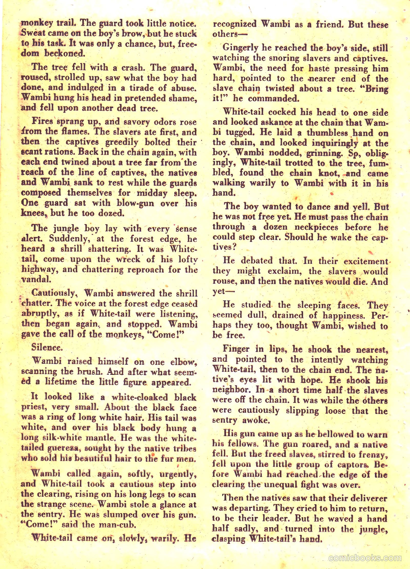 Wambi #5 — page 24 of 36