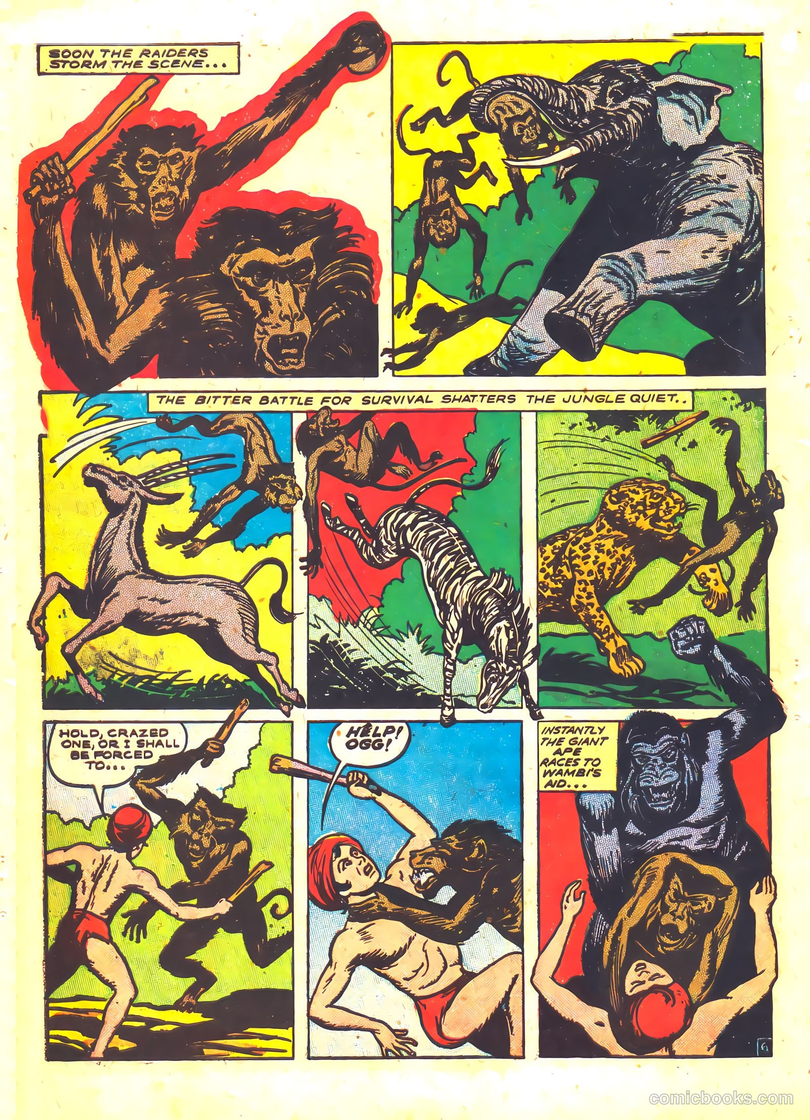 Wambi #5 — page 30 of 36
