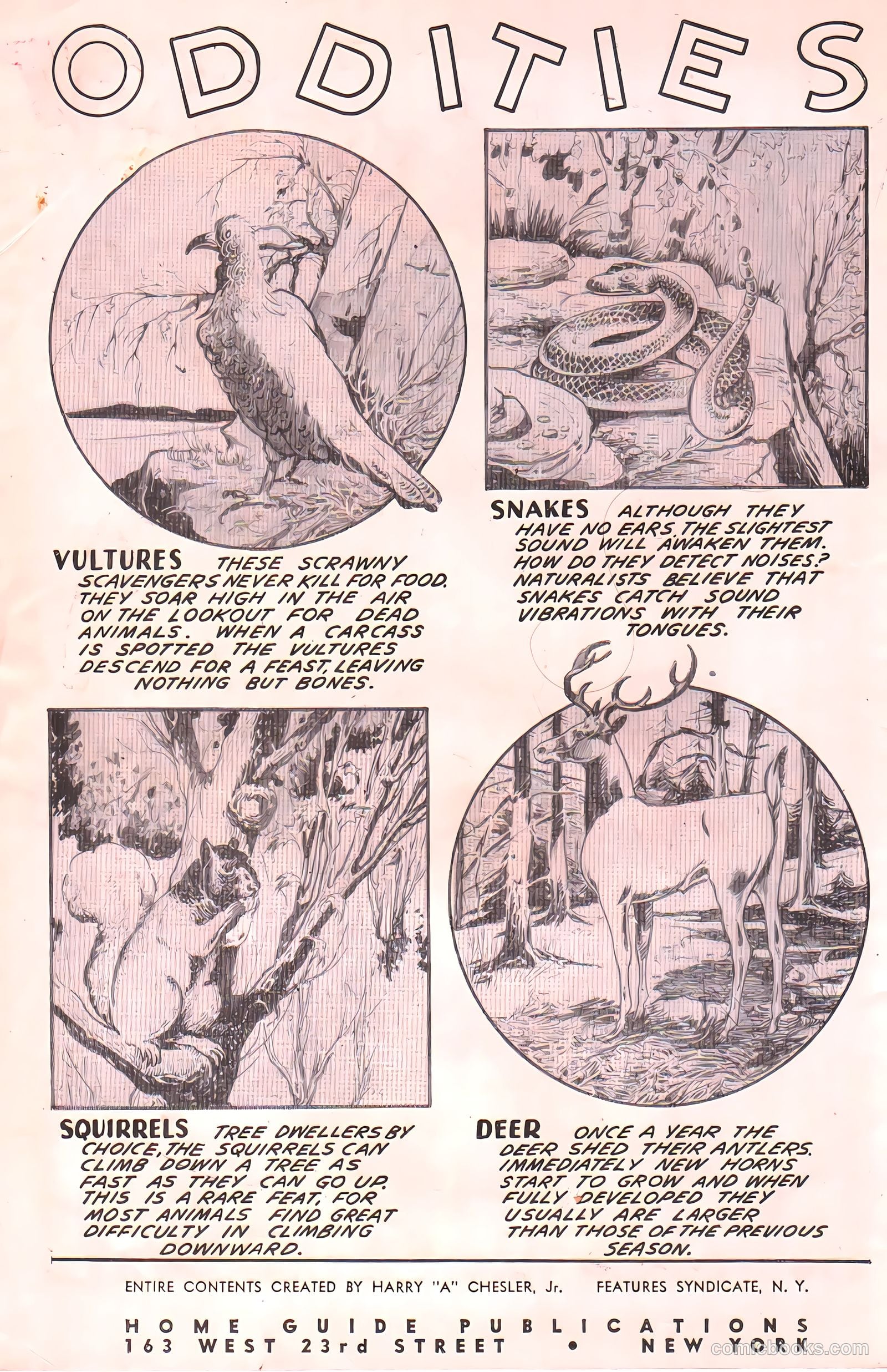 Skyrocket Comics #1 — page 2 of 53