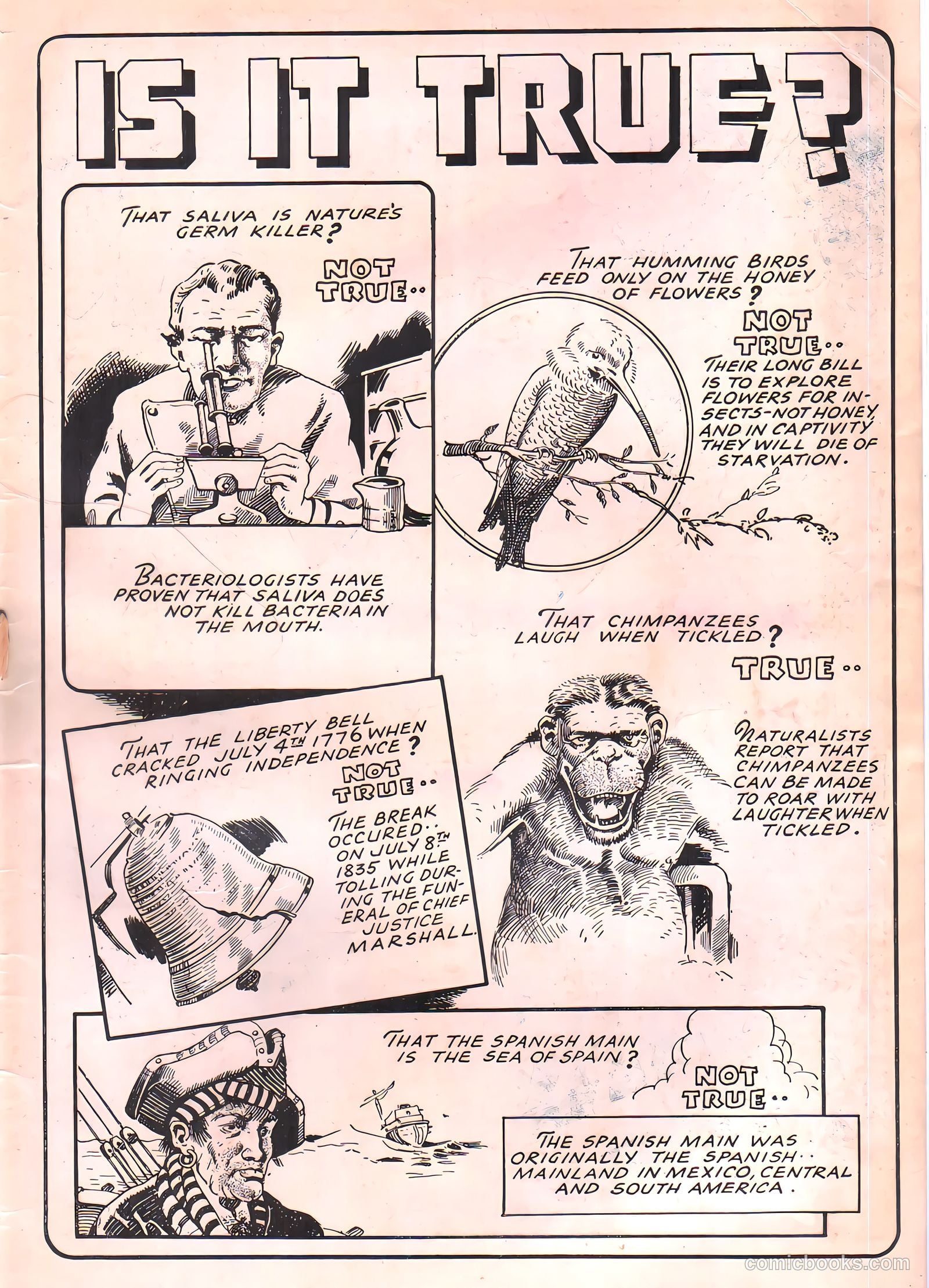 Skyrocket Comics #1 — page 51 of 53