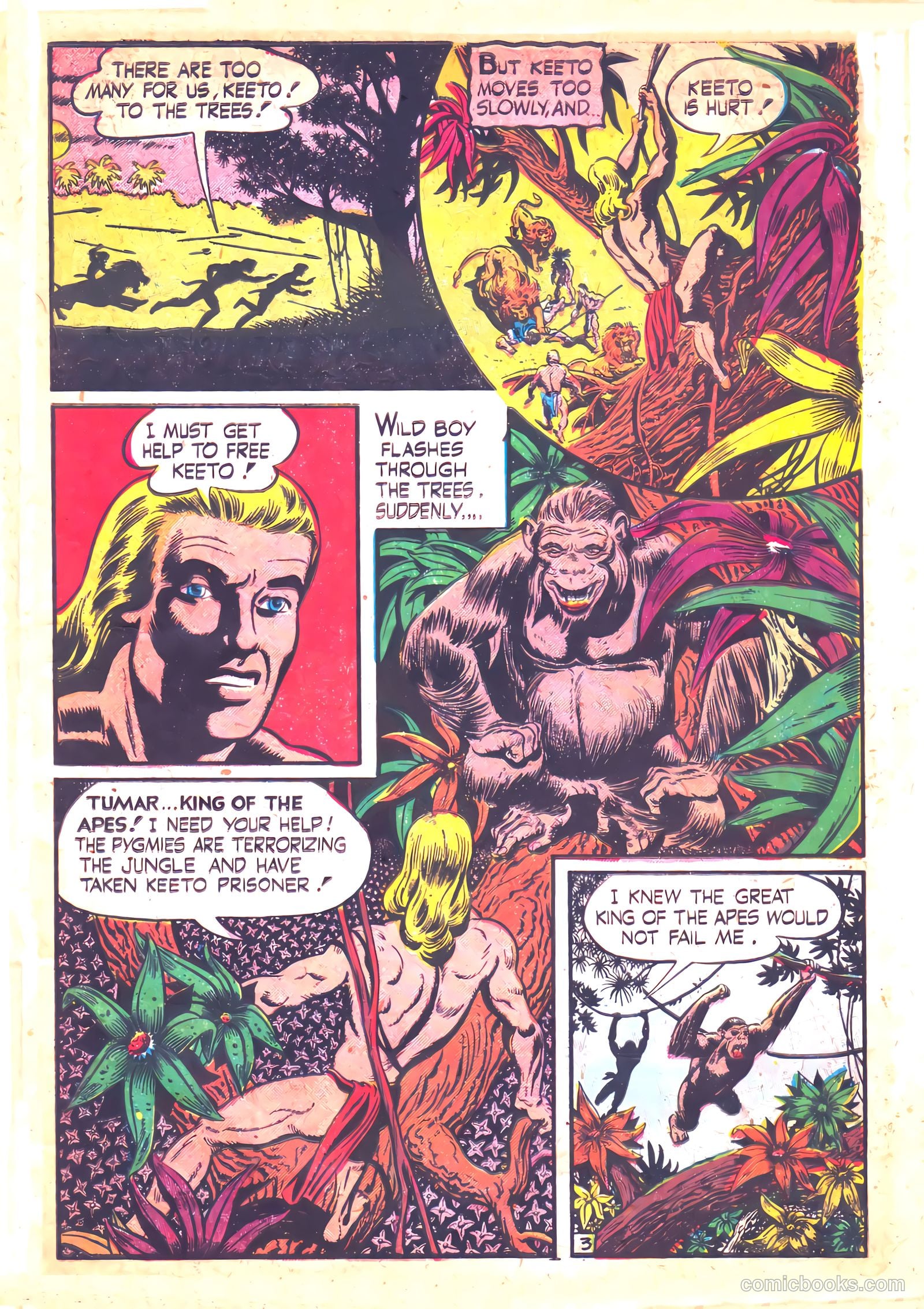 Wild Boy #3 — page 5 of 36