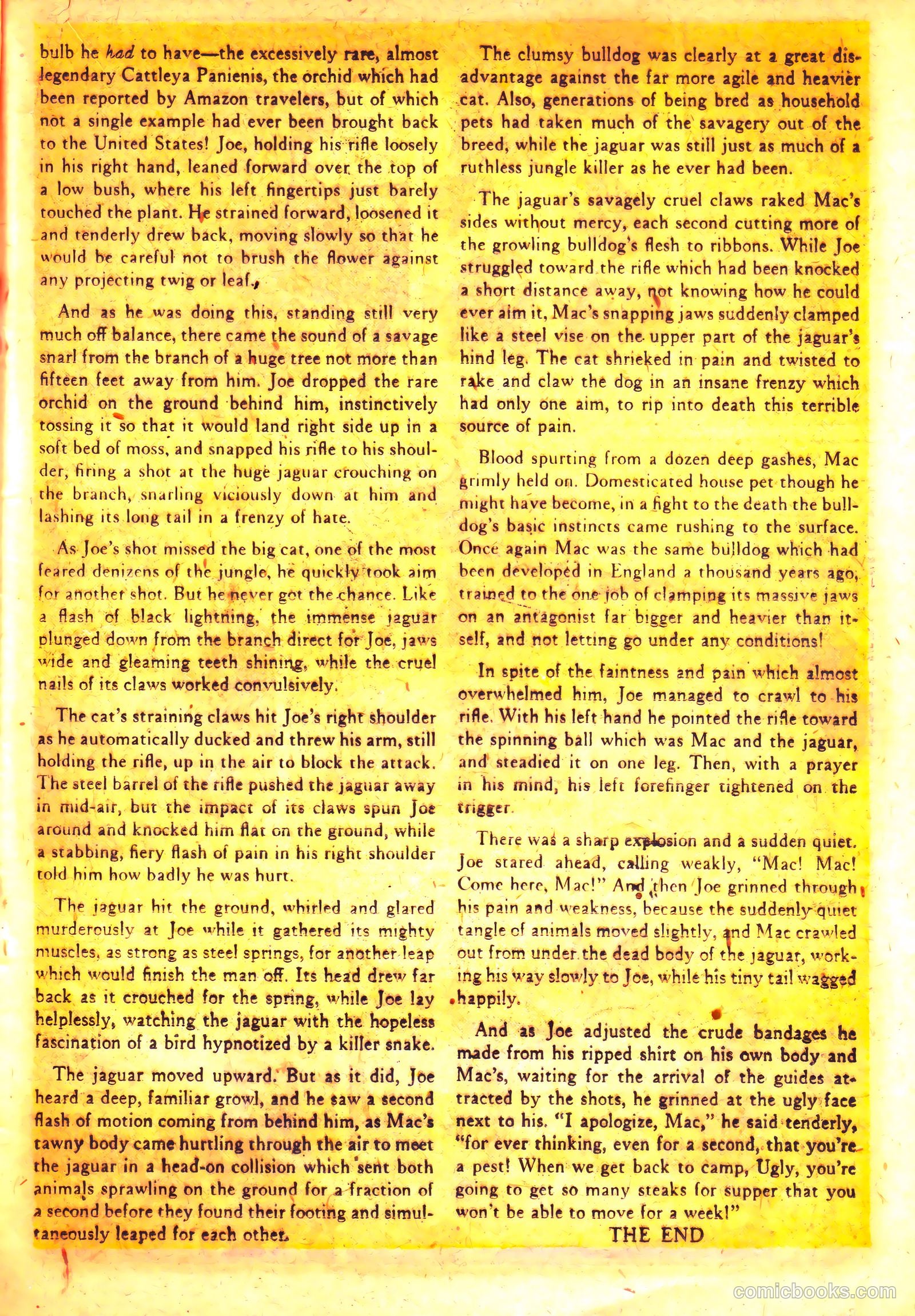 Wild Boy #3 — page 19 of 36