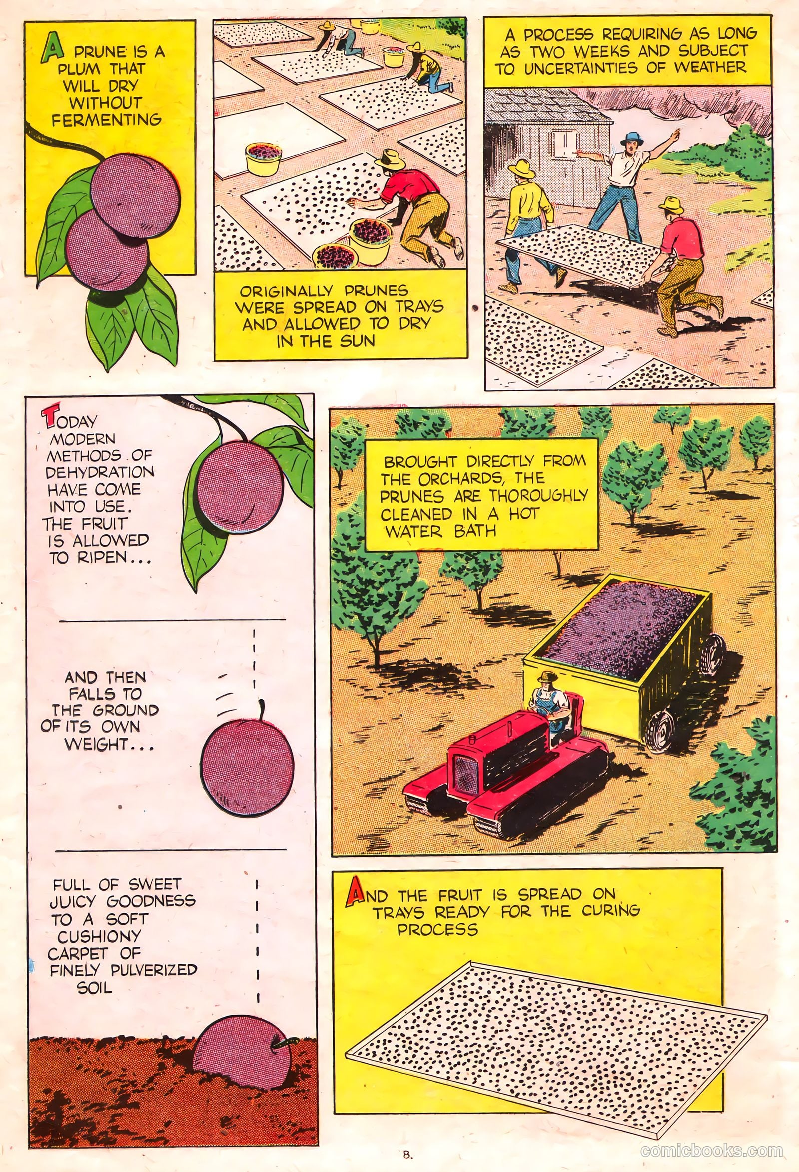 A Fortune in Two Old Trunks #nn — page 8 of 16
