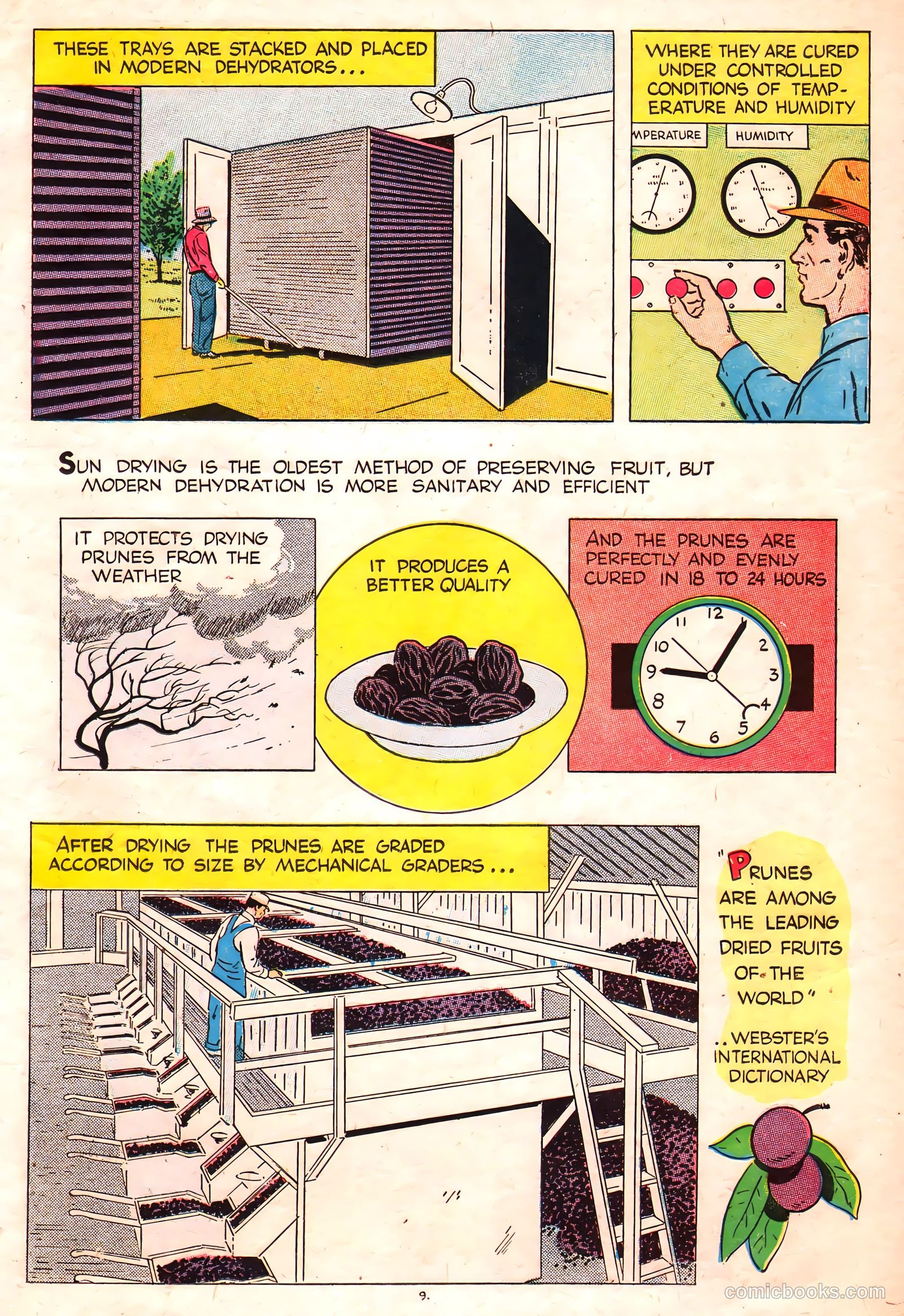 A Fortune in Two Old Trunks #nn — page 9 of 16