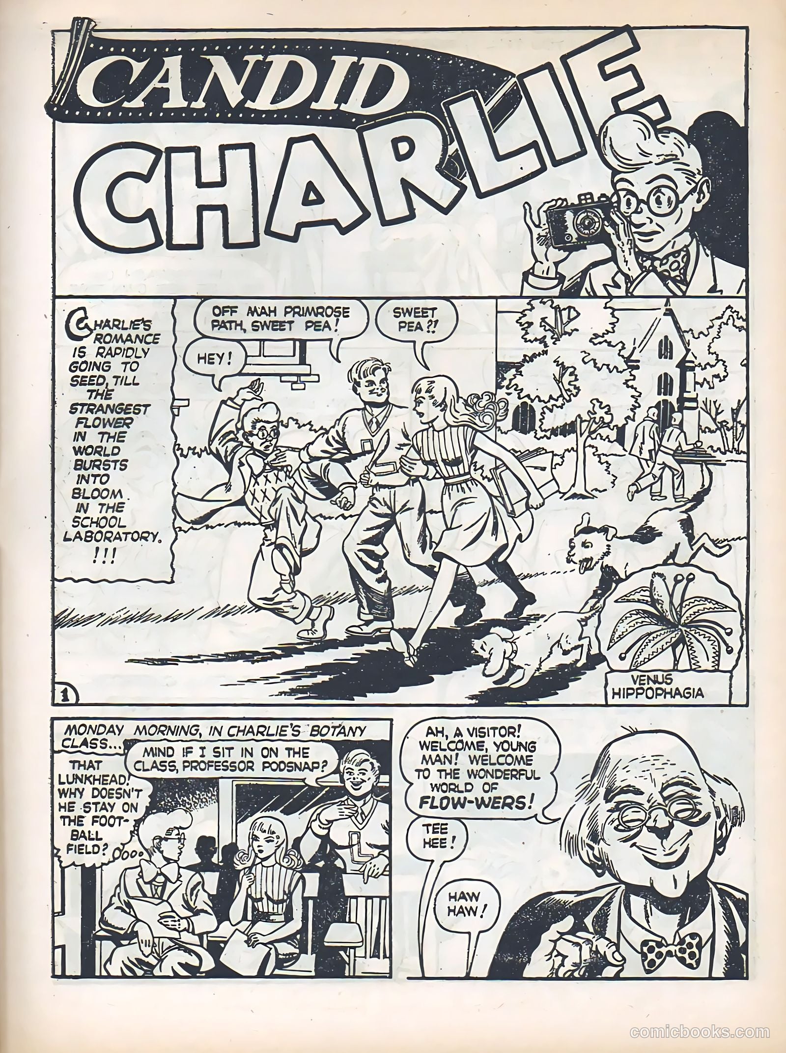 Blue Bolt #4 — page 29 of 36