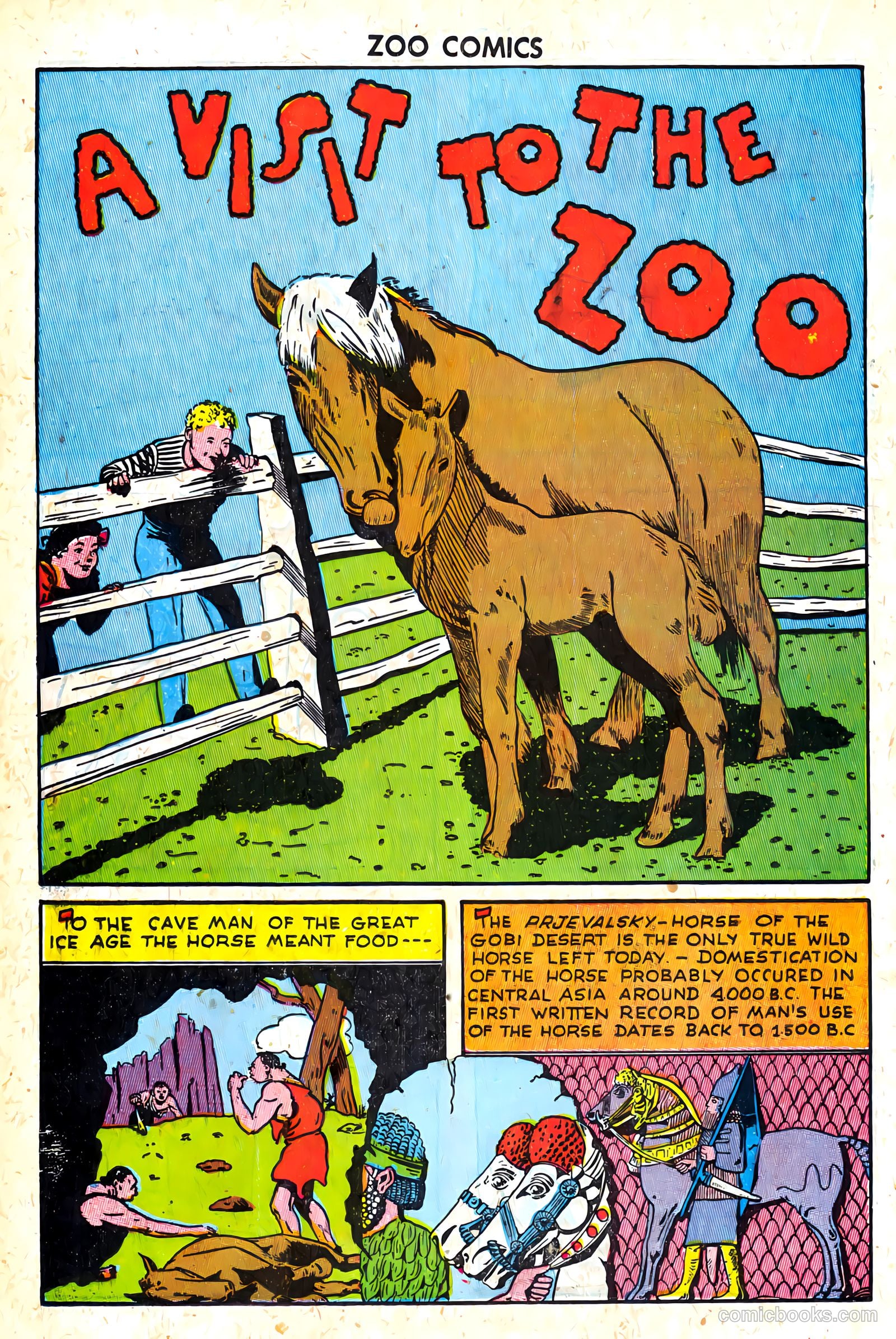 Zoo Funnies v1 #8 — page 34 of 52