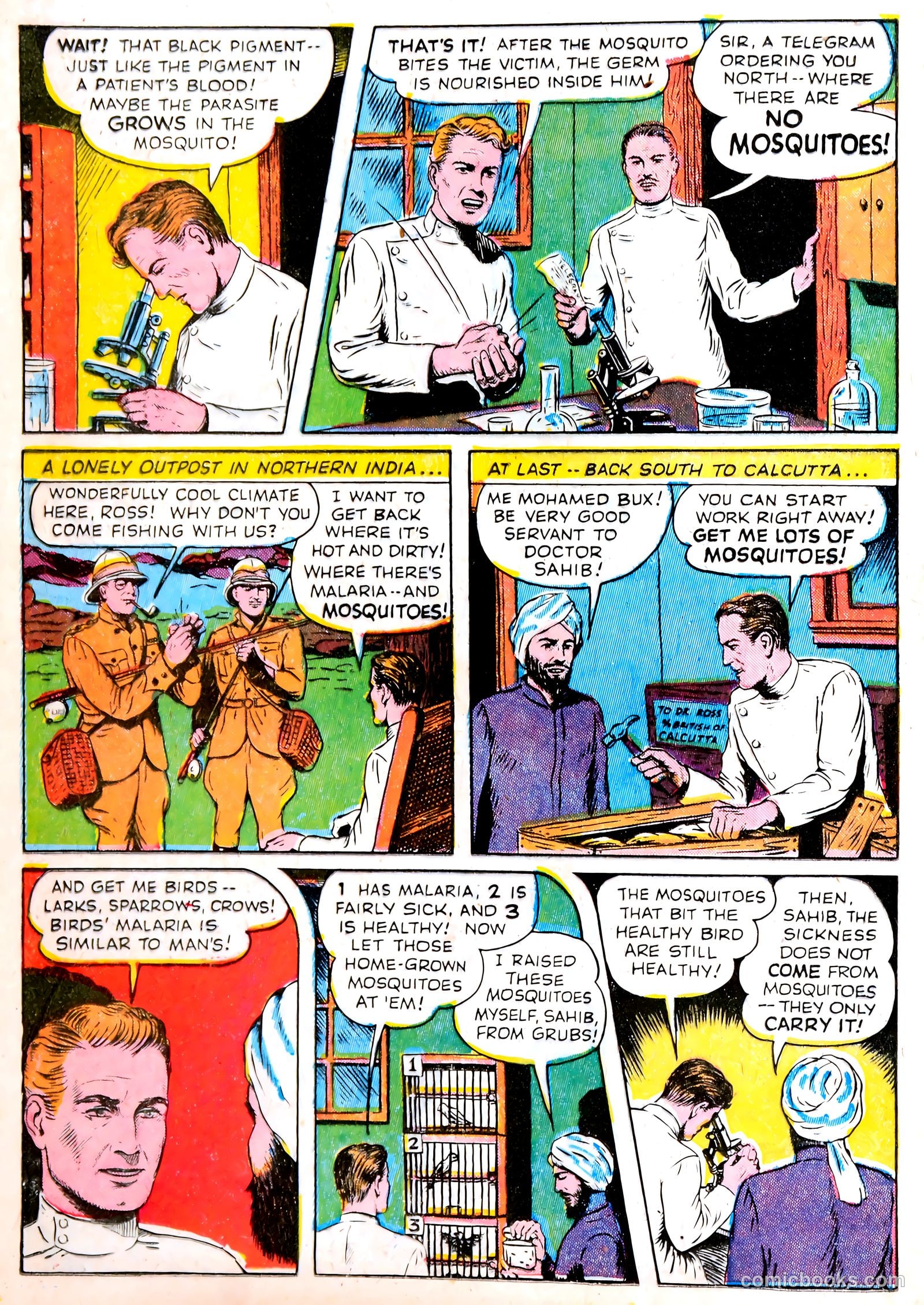 Real Life Comics #14 — page 36 of 60