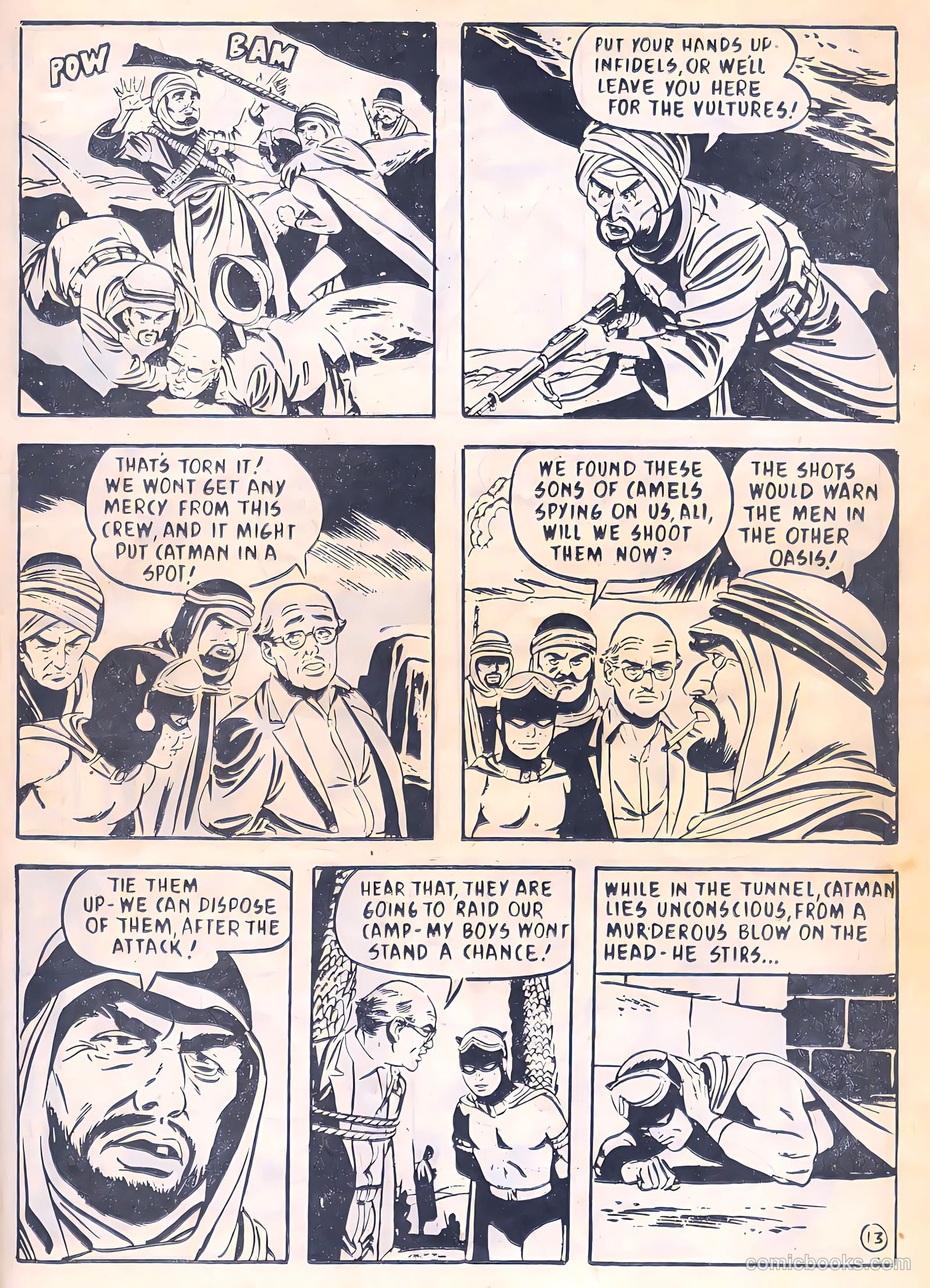 Catman #19 — page 13 of 24
