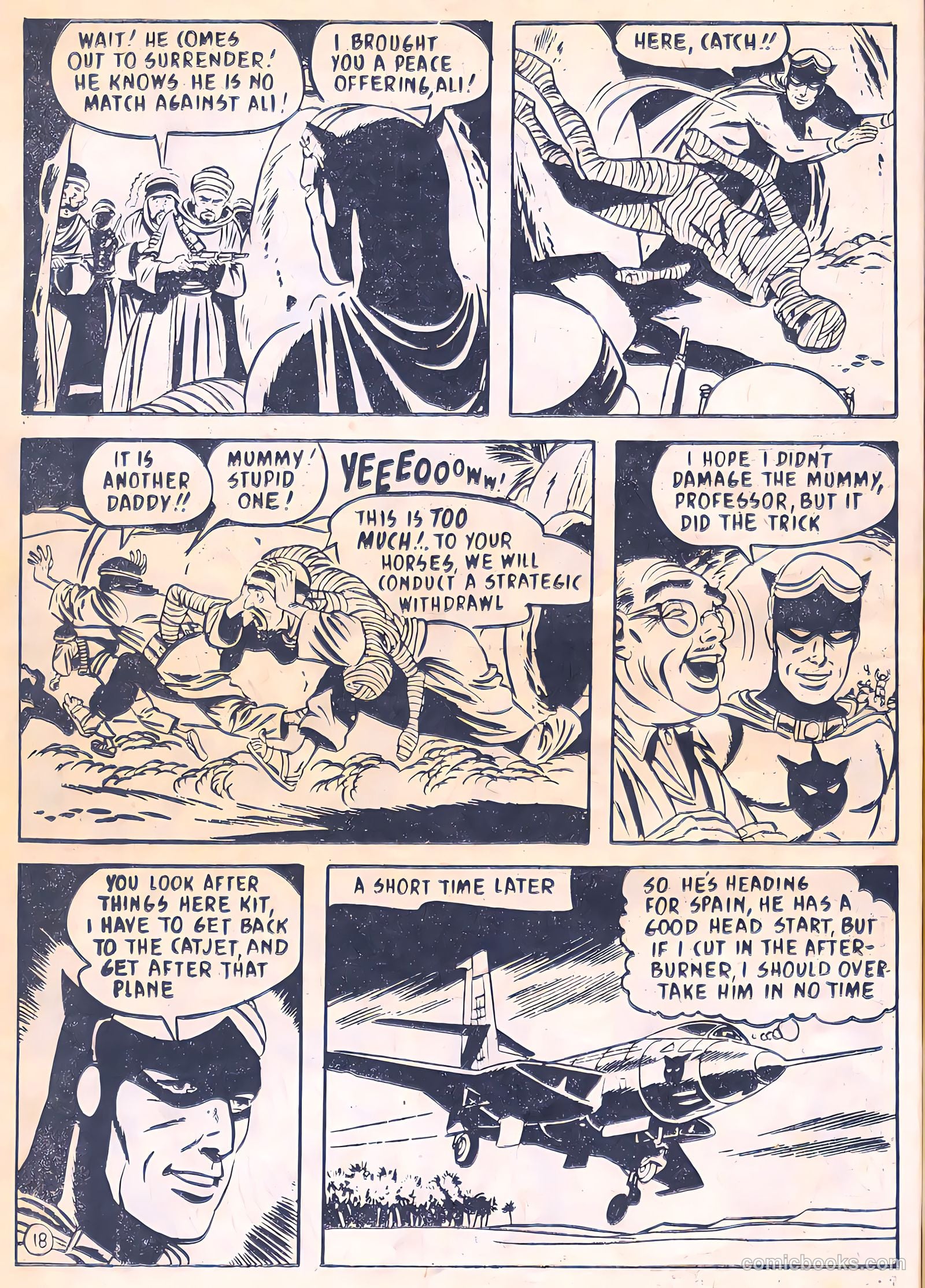Catman #19 — page 18 of 24