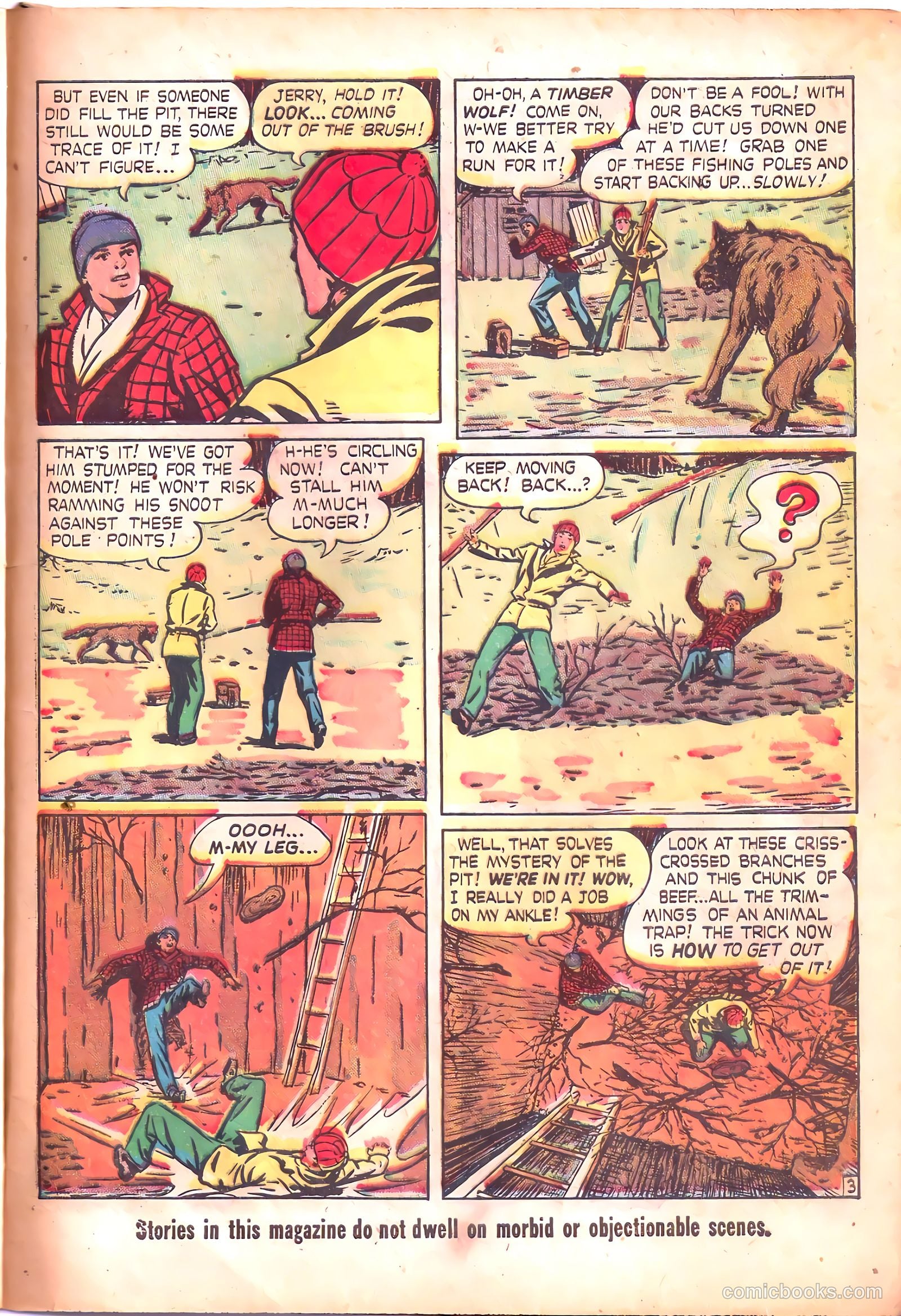 Dick Cole #4 — page 29 of 36
