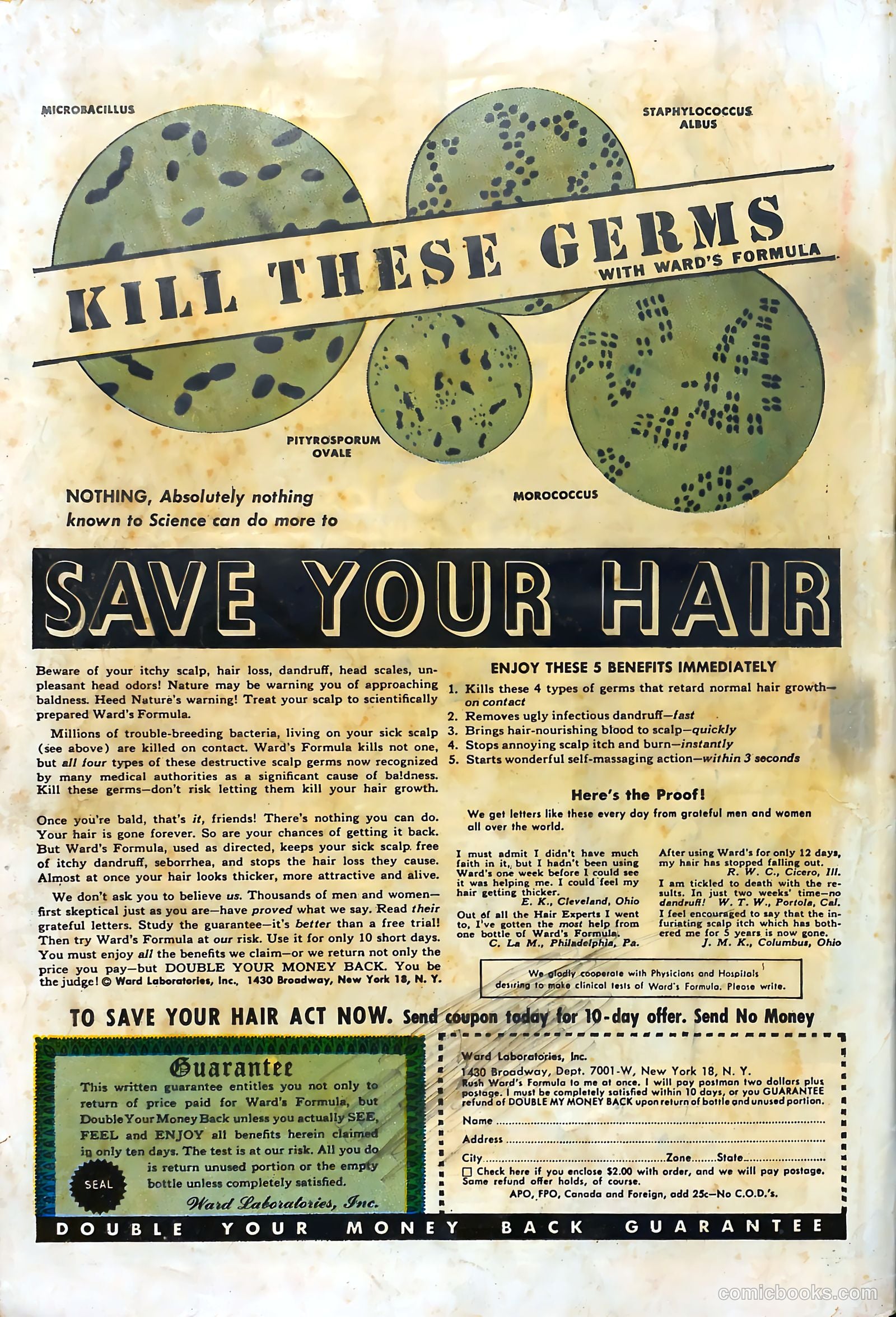 Frankenstein #18 — page 36 of 36