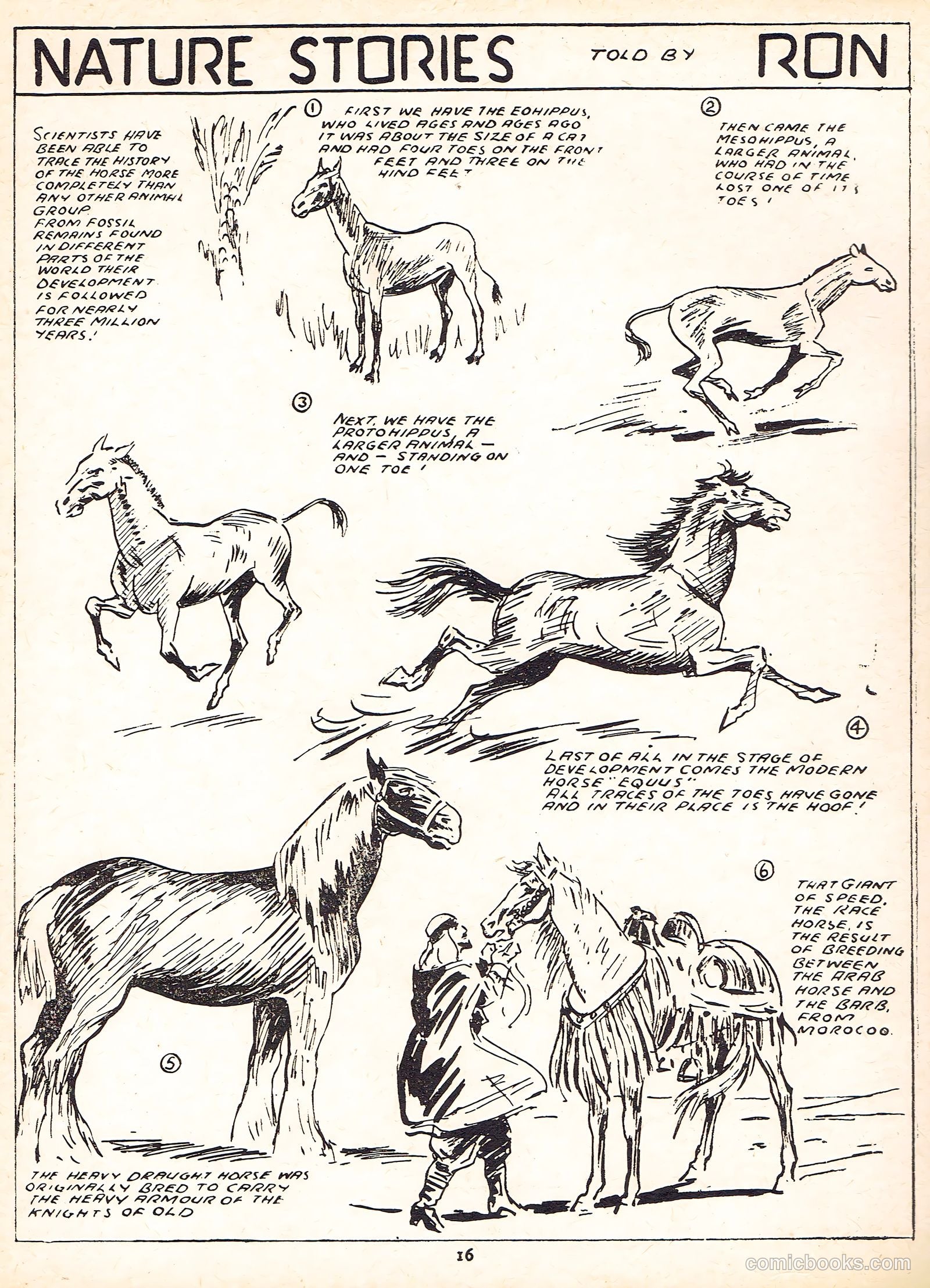 Cute Fun Album #1951 — page 8 of 44
