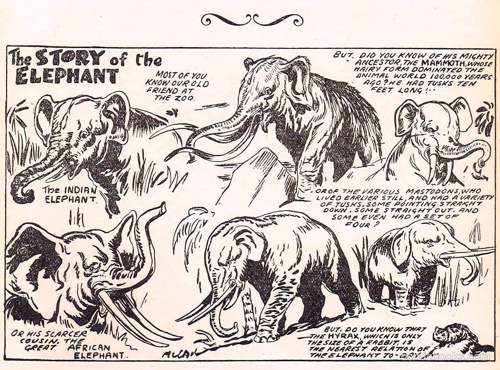 Cute Fun Album #1951 — page 43 of 44