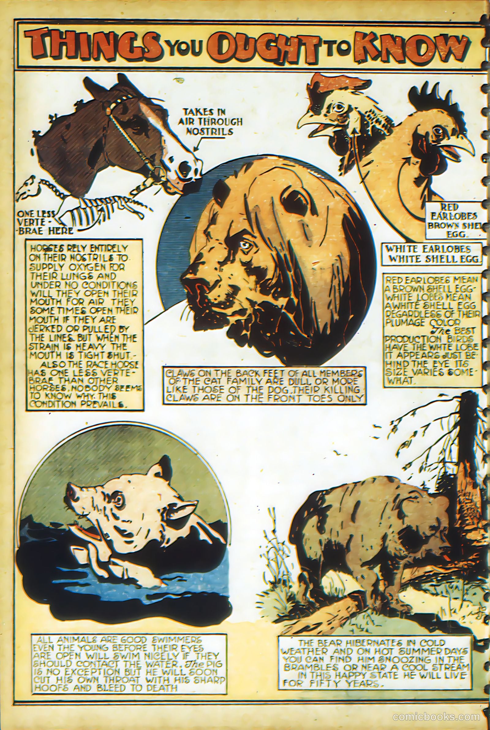 New Adventure Comics #17 — page 67 of 70