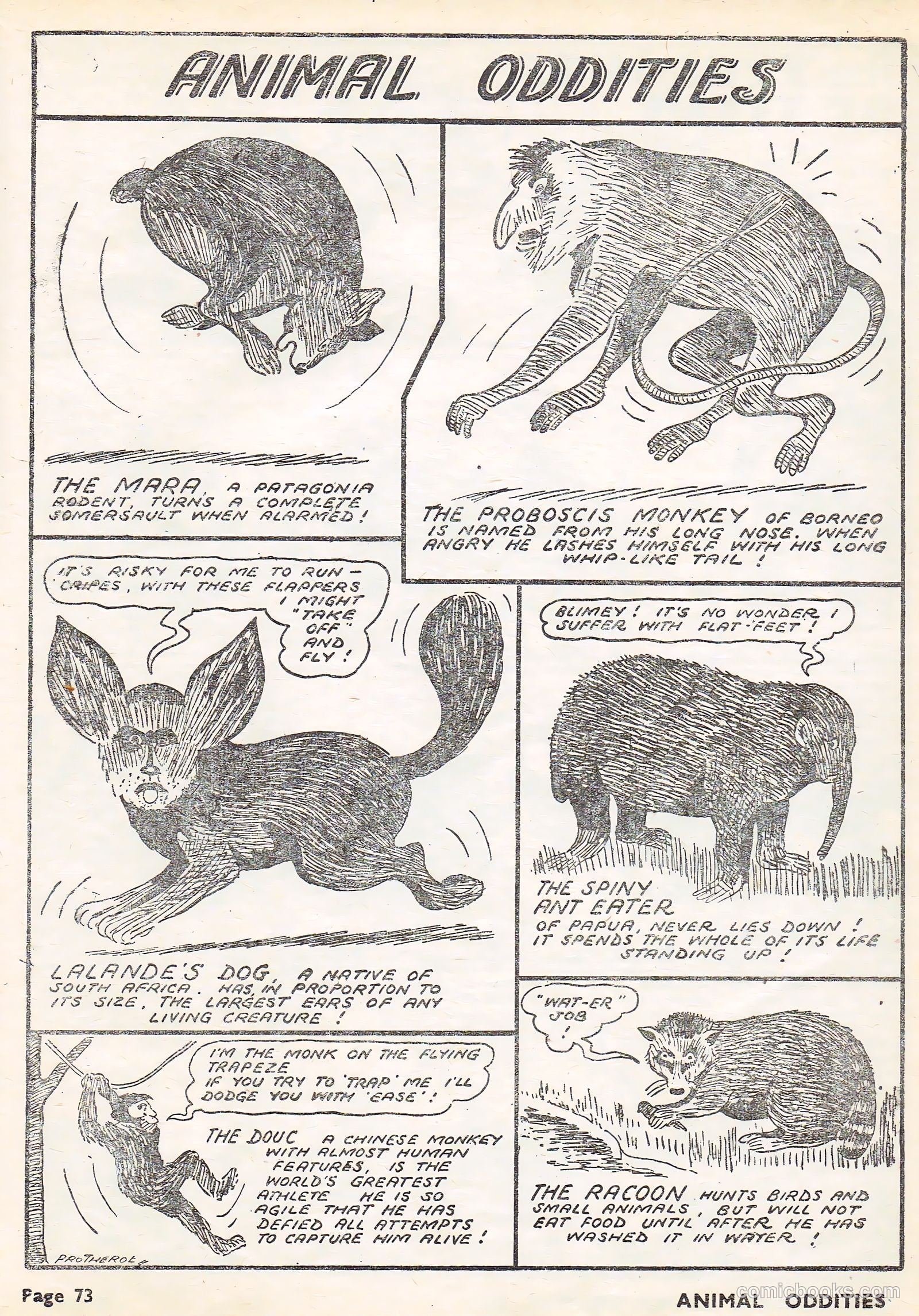 Funnies Album 1950 Part #2 — page 34 of 57