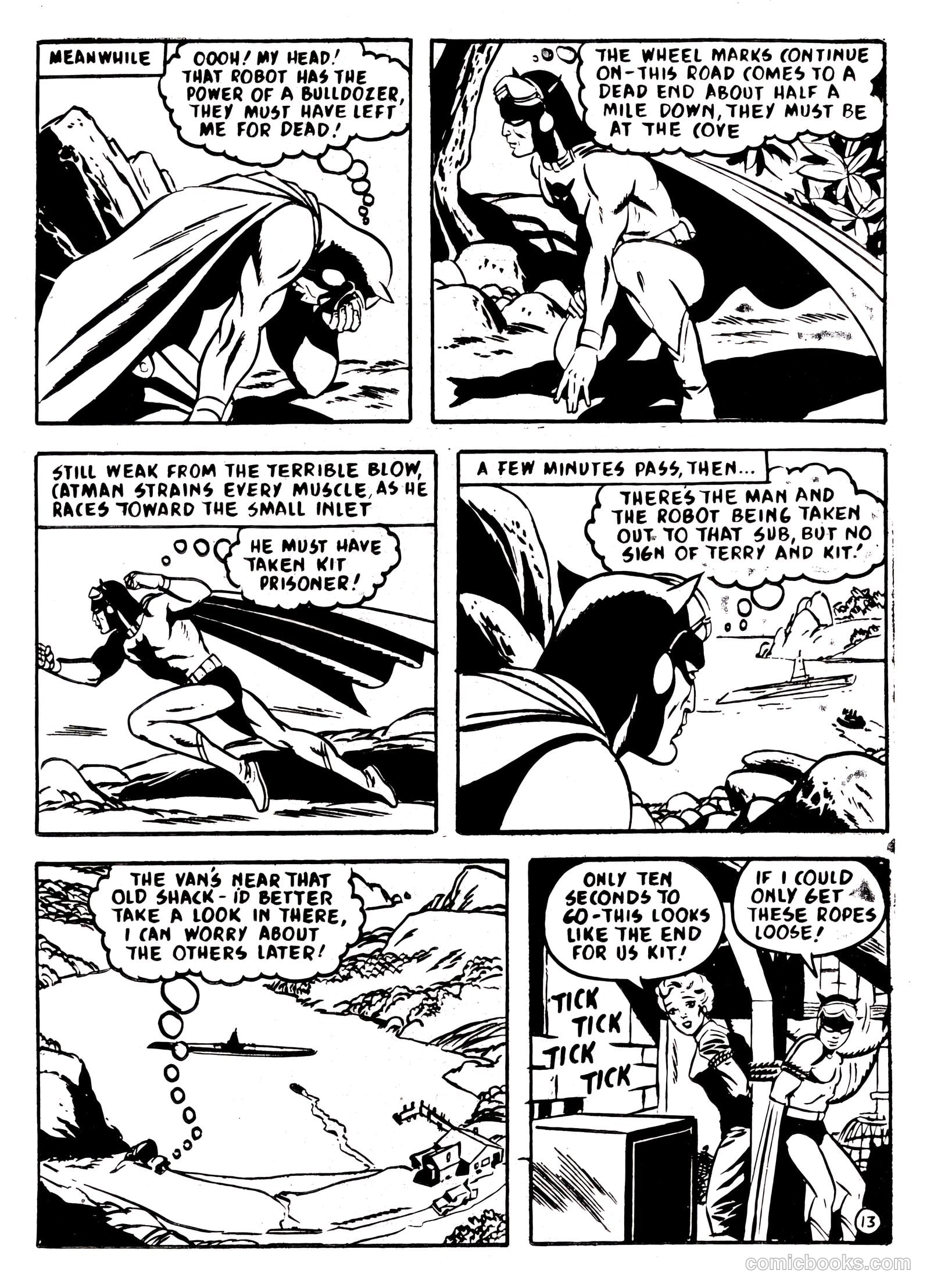Catman #21 — page 13 of 24