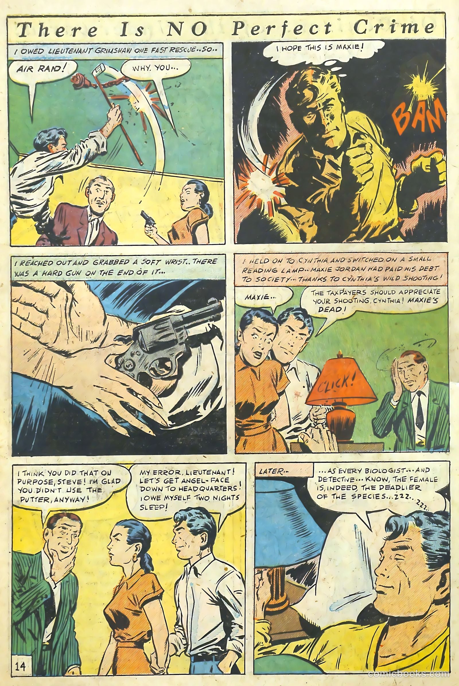 The Perfect Crime #7 — page 14 of 52