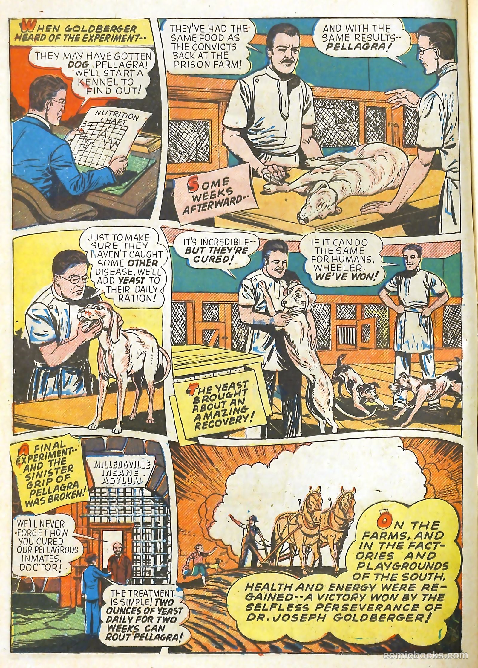Real Life Comics #12 — page 24 of 60