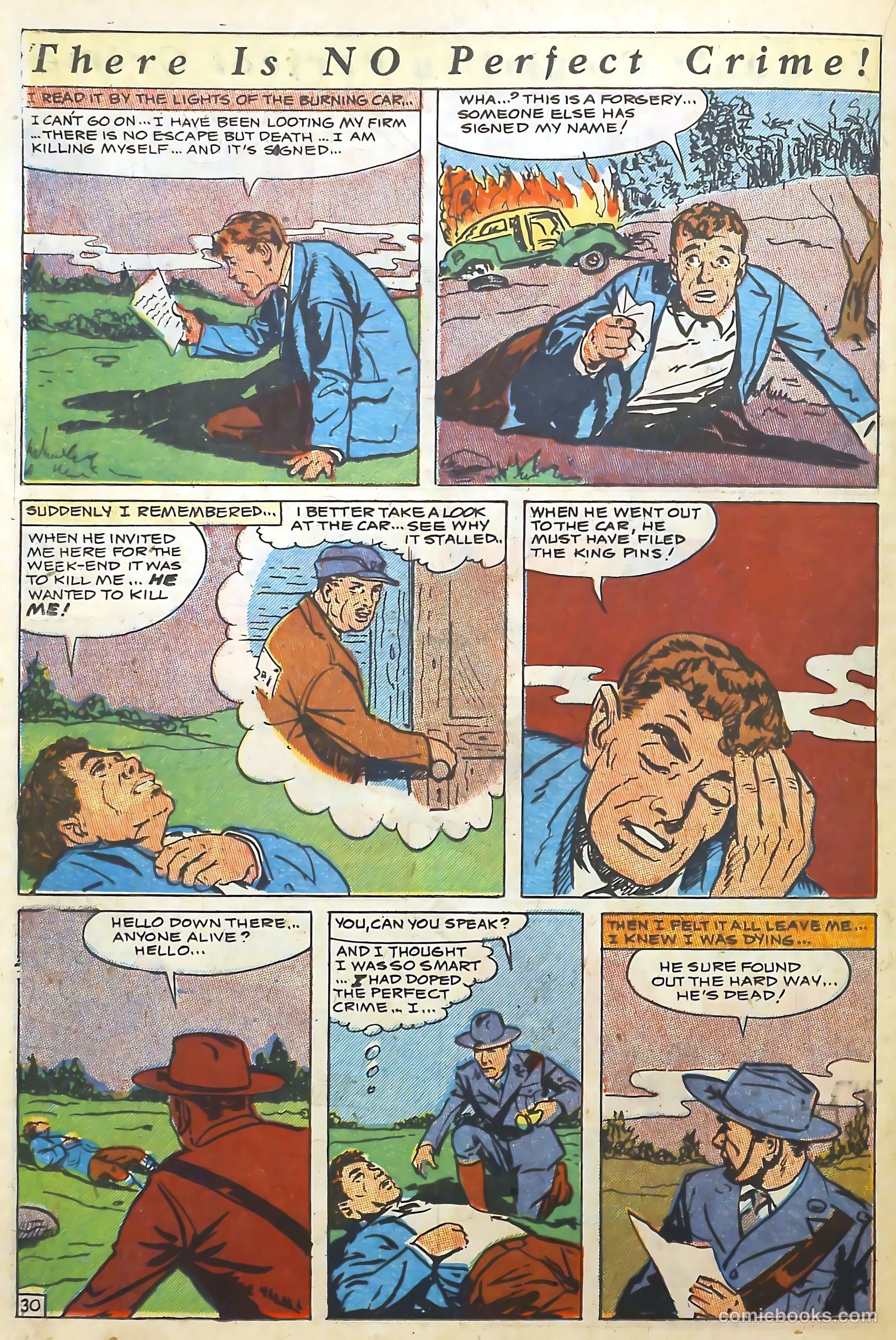 The Perfect Crime #11 — page 31 of 53