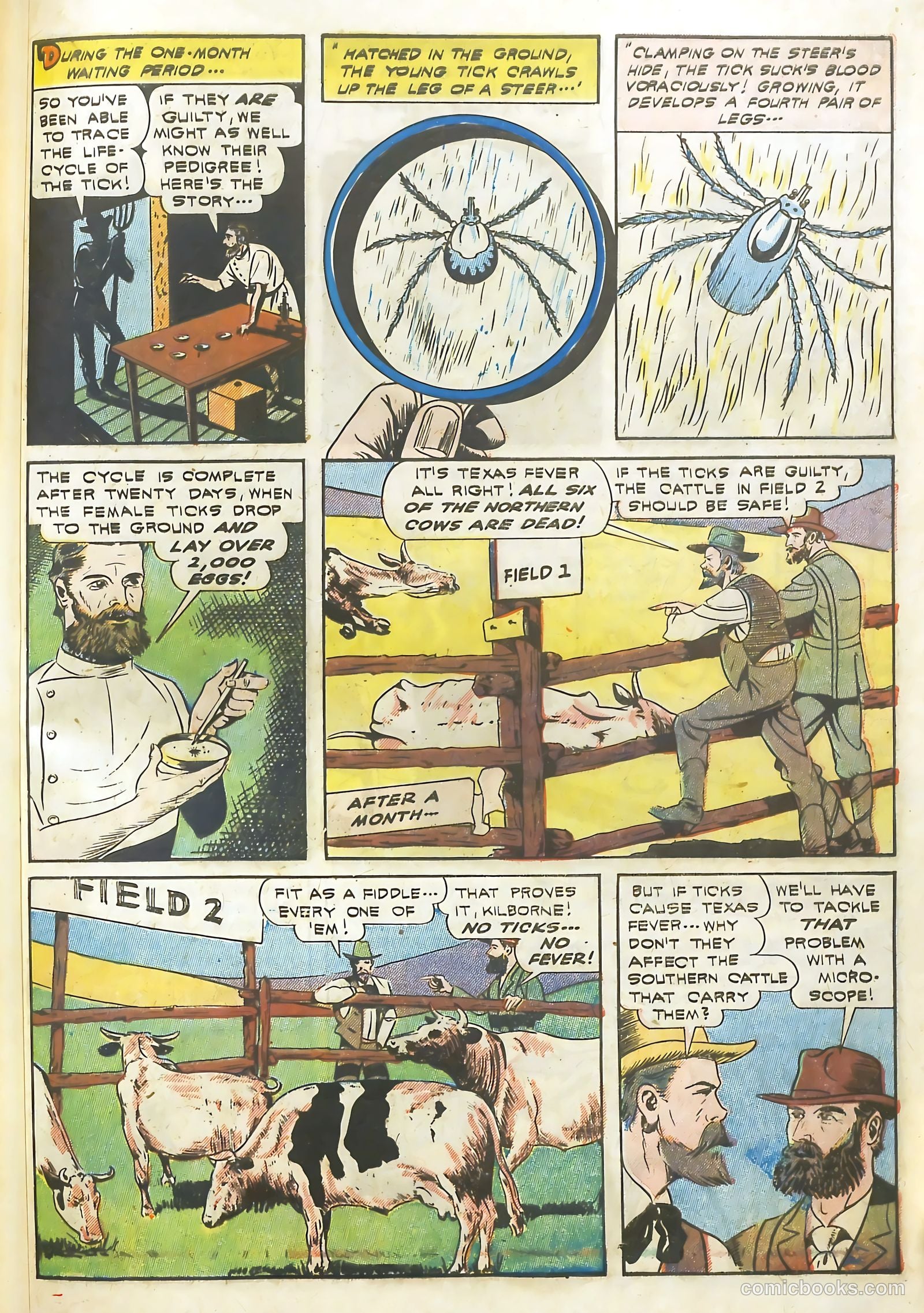Real Life Comics #13 — page 54 of 61