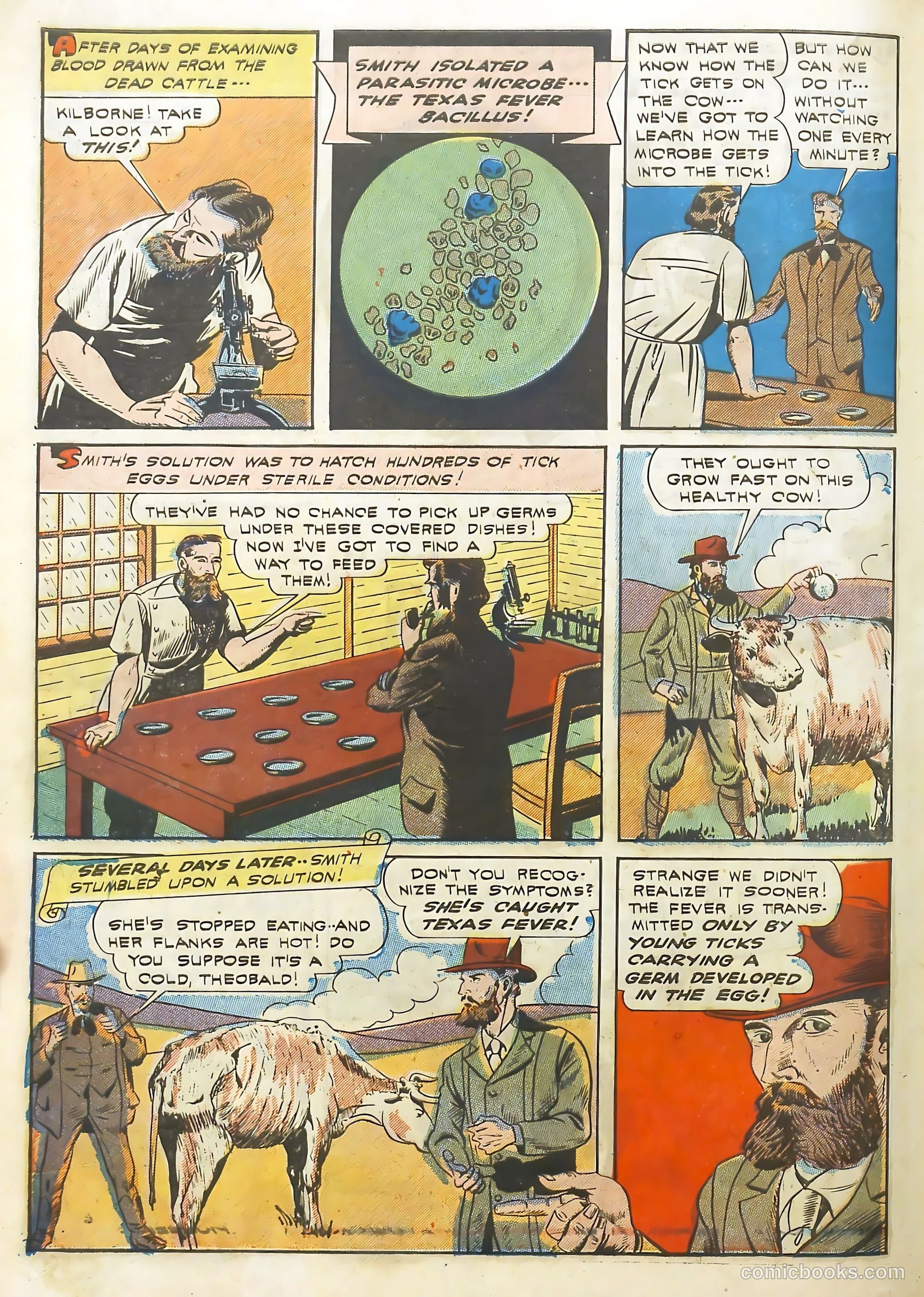 Real Life Comics #13 — page 55 of 61